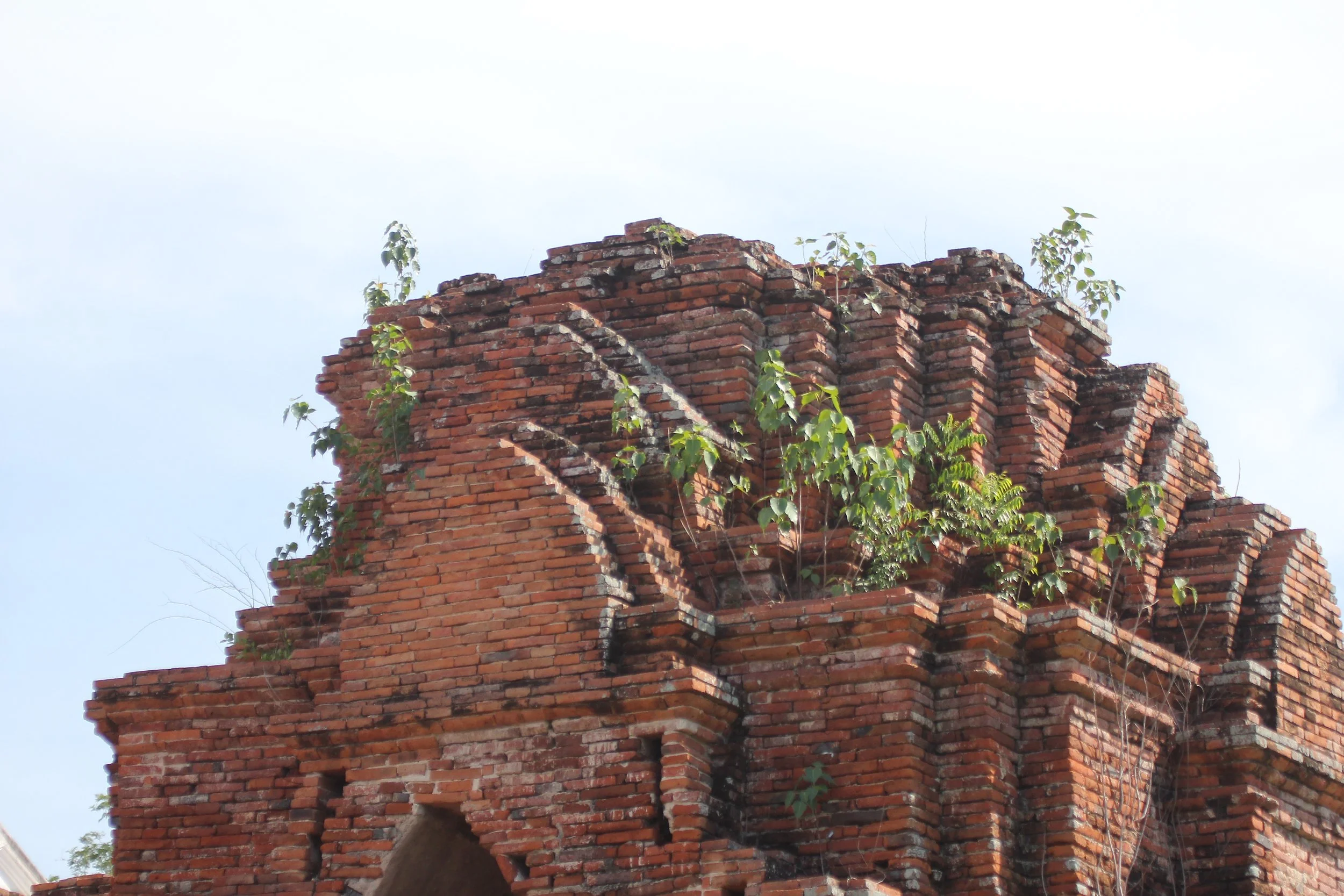 2020 - Ayutthaya Cokie's Pictures (220).JPG
