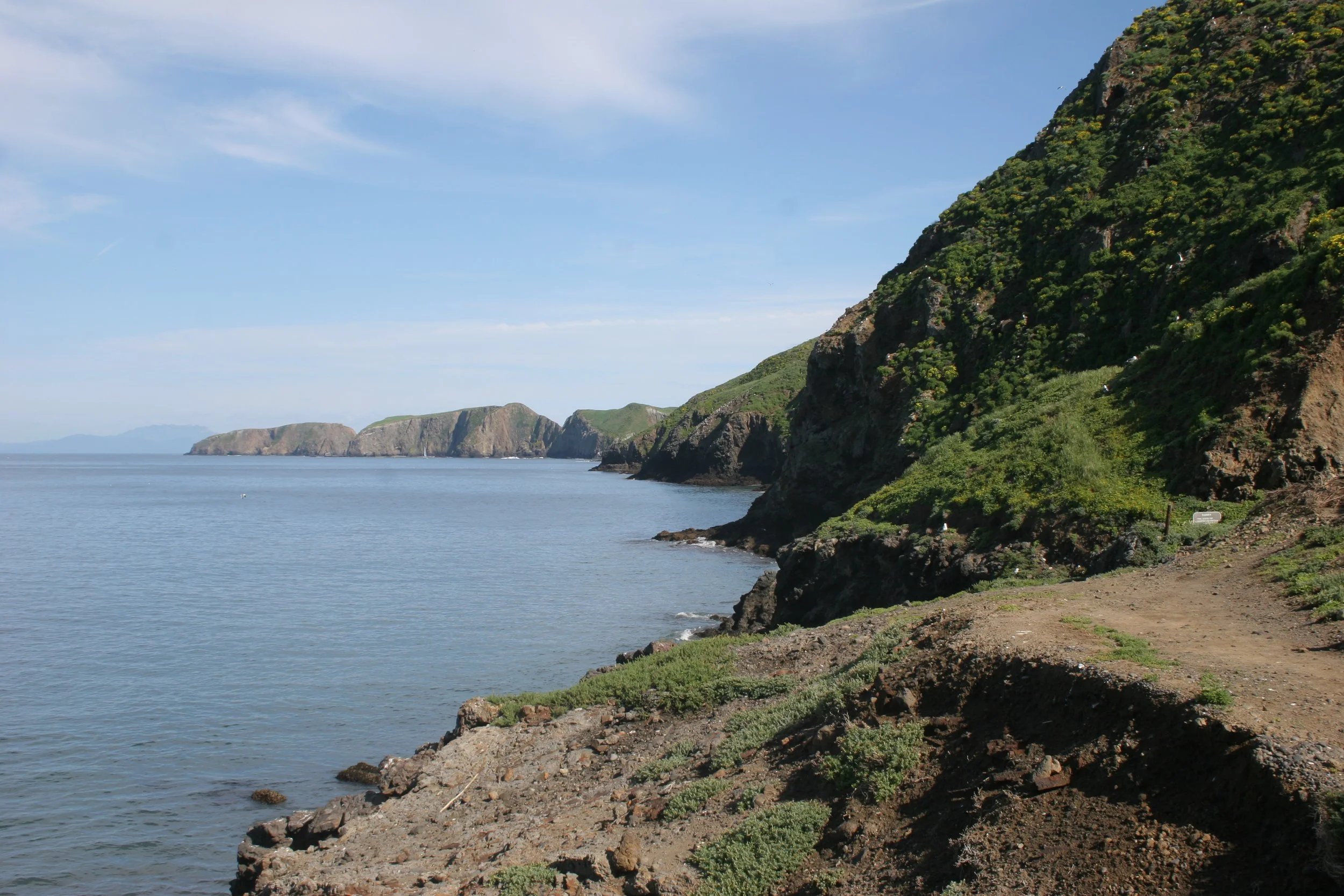 CALIFORNIA - CHANNEL ISLANDS NP - ANACAPA ISLAND (2).jpg