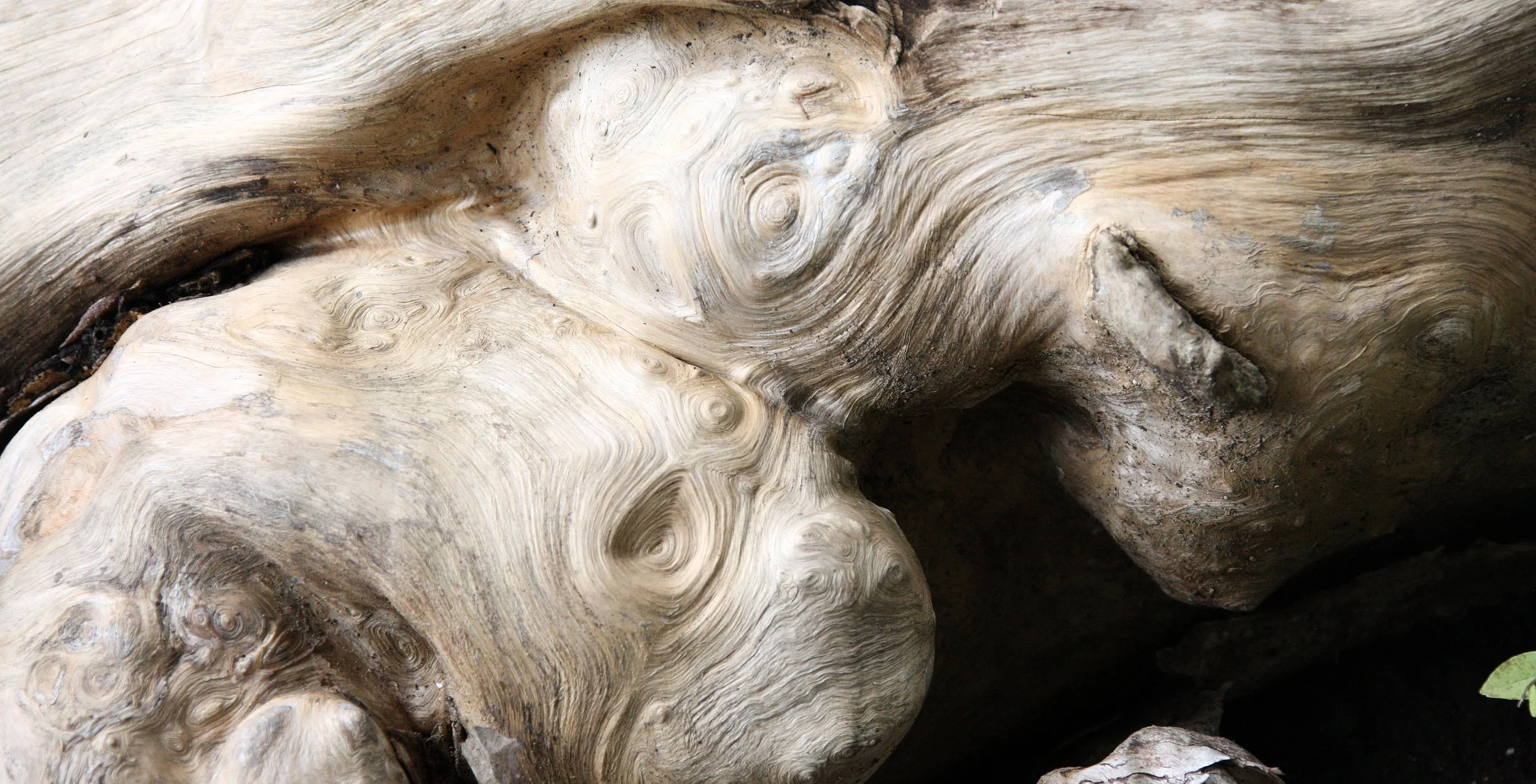 BENG MEALEA - CAMBODIA - JULY 2010 (22).JPG