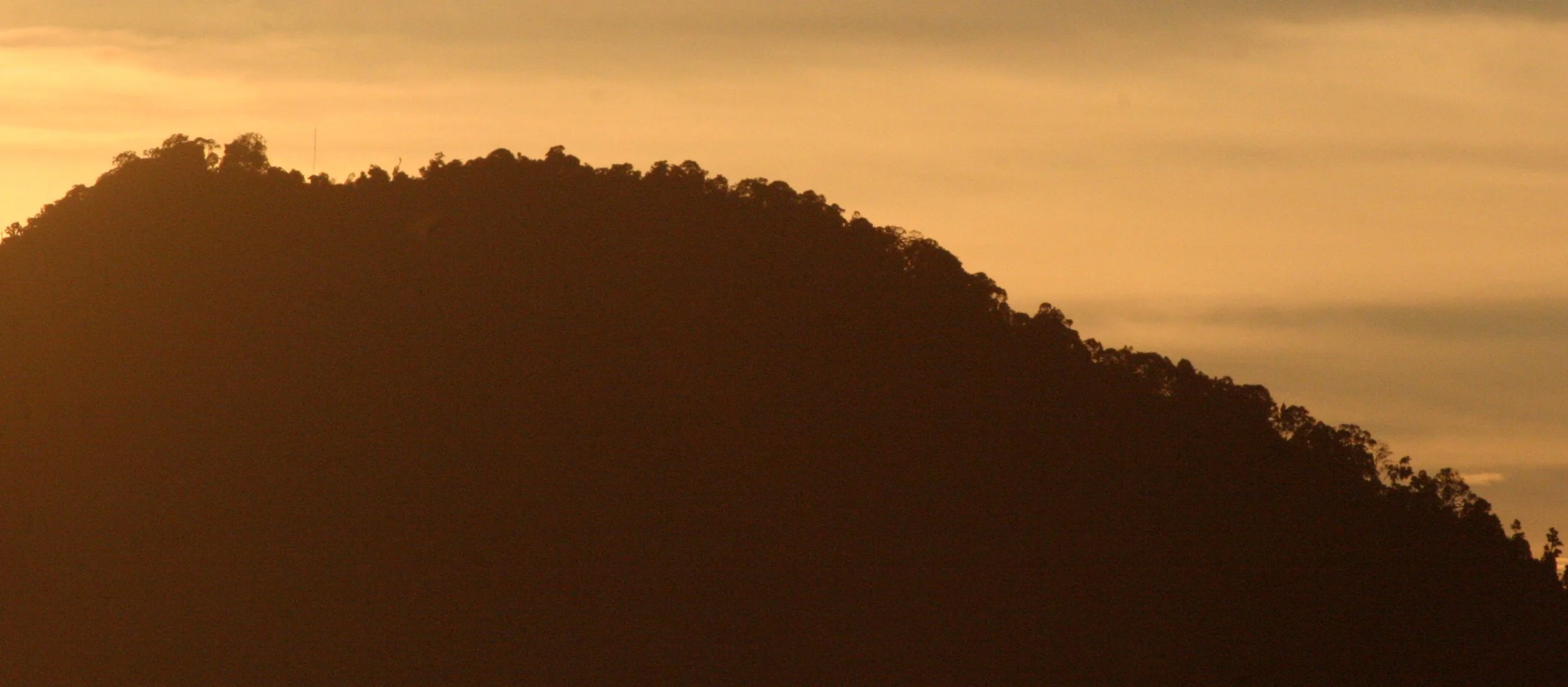 DANUM VALLEY BORNEO - SUNRISE OVER THE DANUM (72).JPG