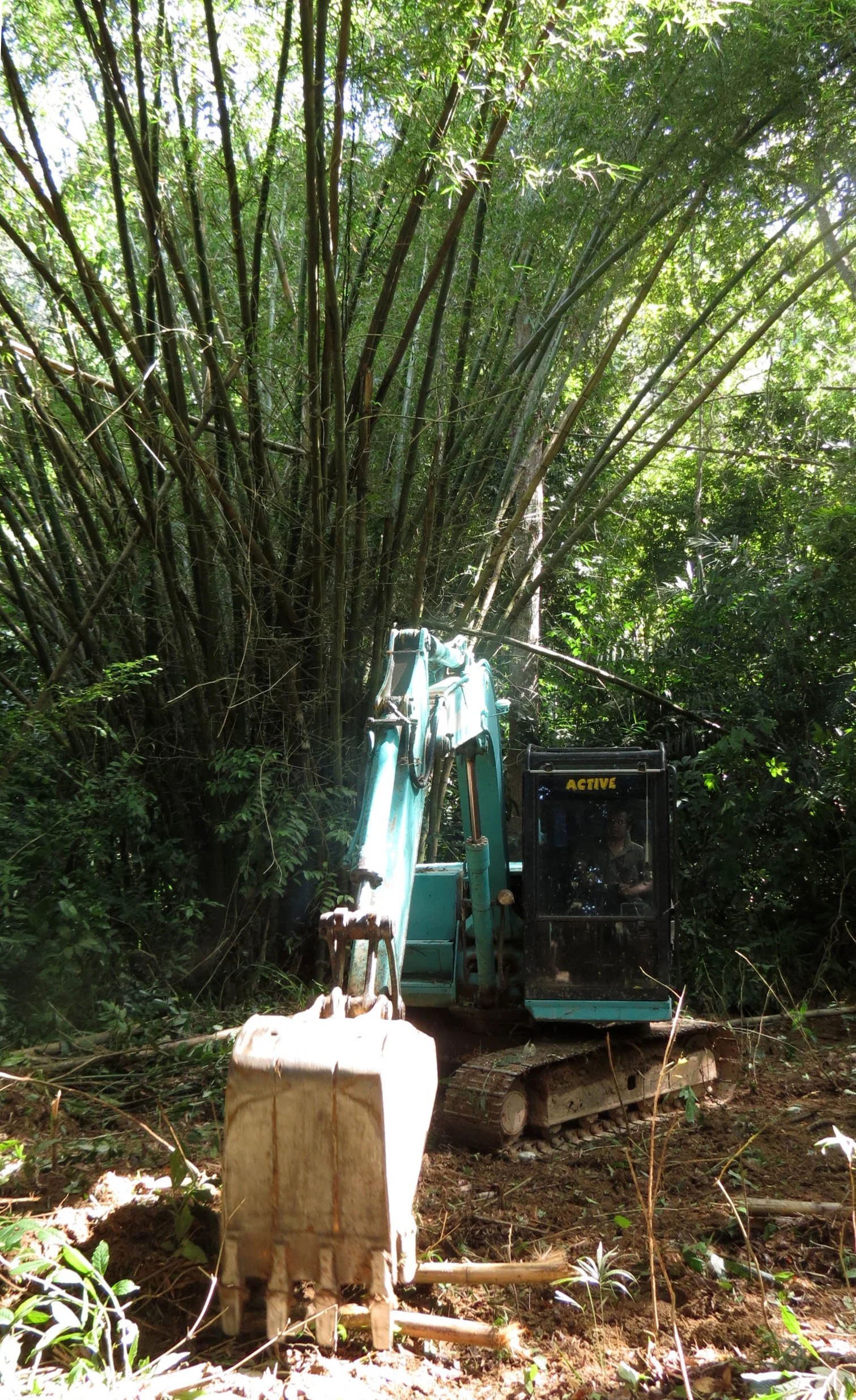 2014 Koh Lanta Build (9).JPG