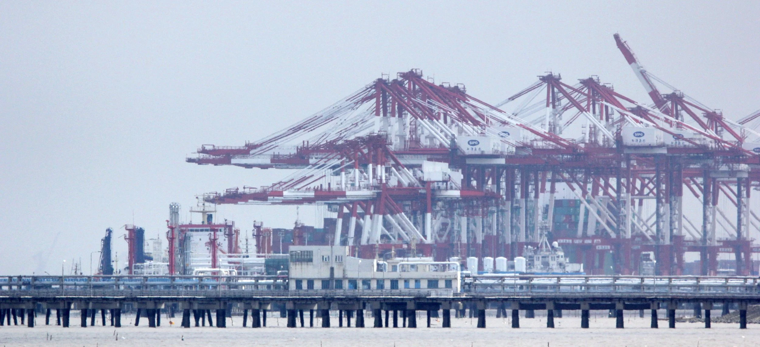 BINJIANG FOREST PARK SHANGHAI (4).JPG