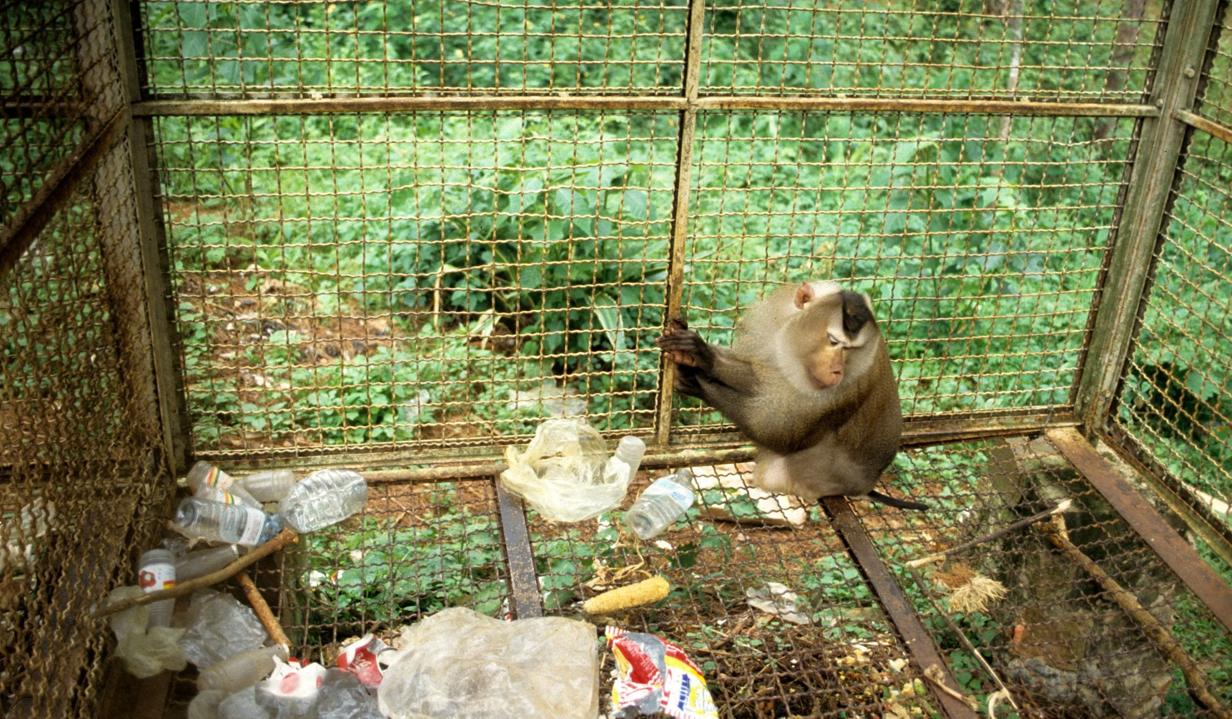 DALAT - POACHERS HOUSE (9).jpg