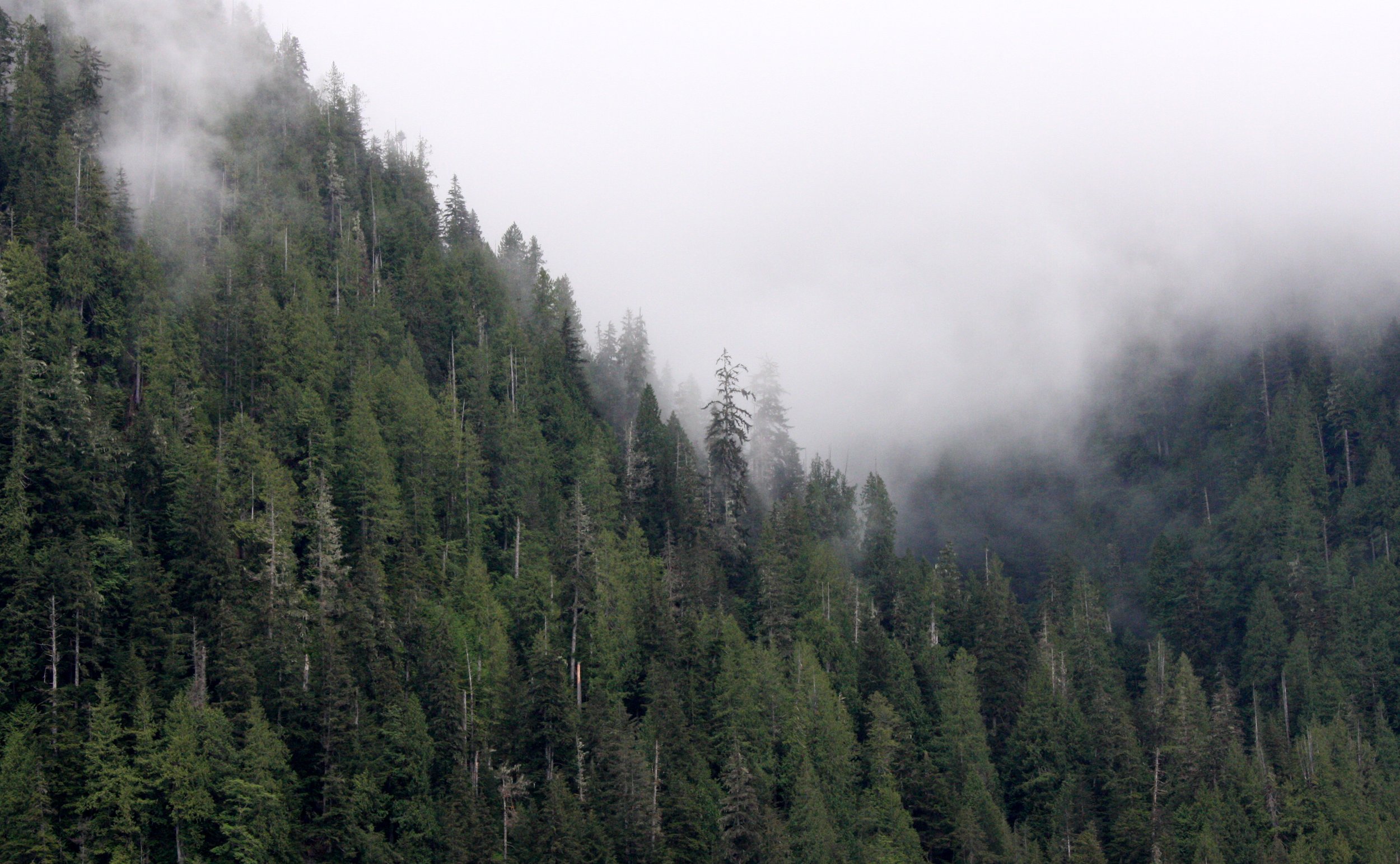 KNIGHT'S INLET BRITISH COLUMBIA (32).JPG