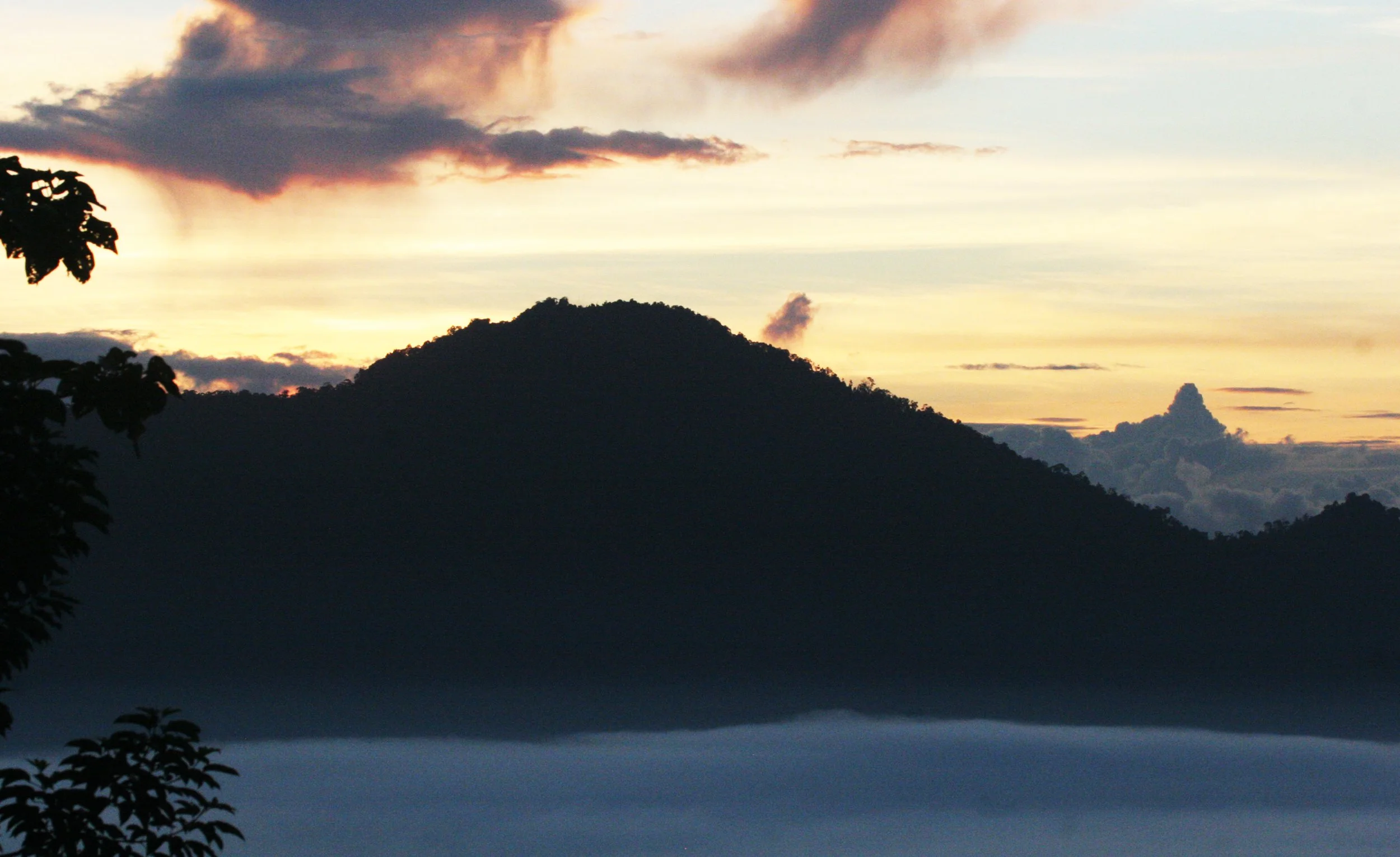 DANUM VALLEY BORNEO - SUNRISE OVER THE DANUM (91).JPG