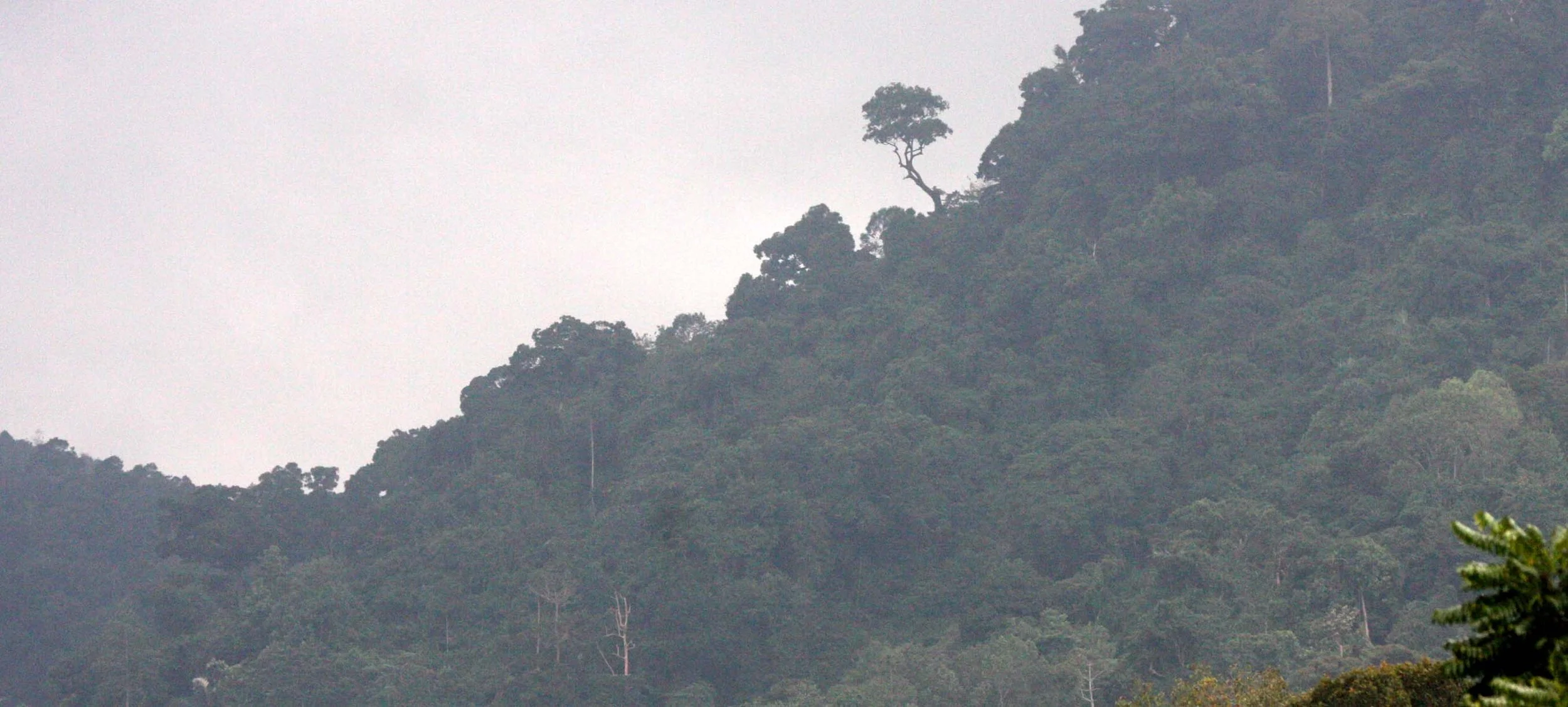 2009 Promluk Property Views (6).JPG