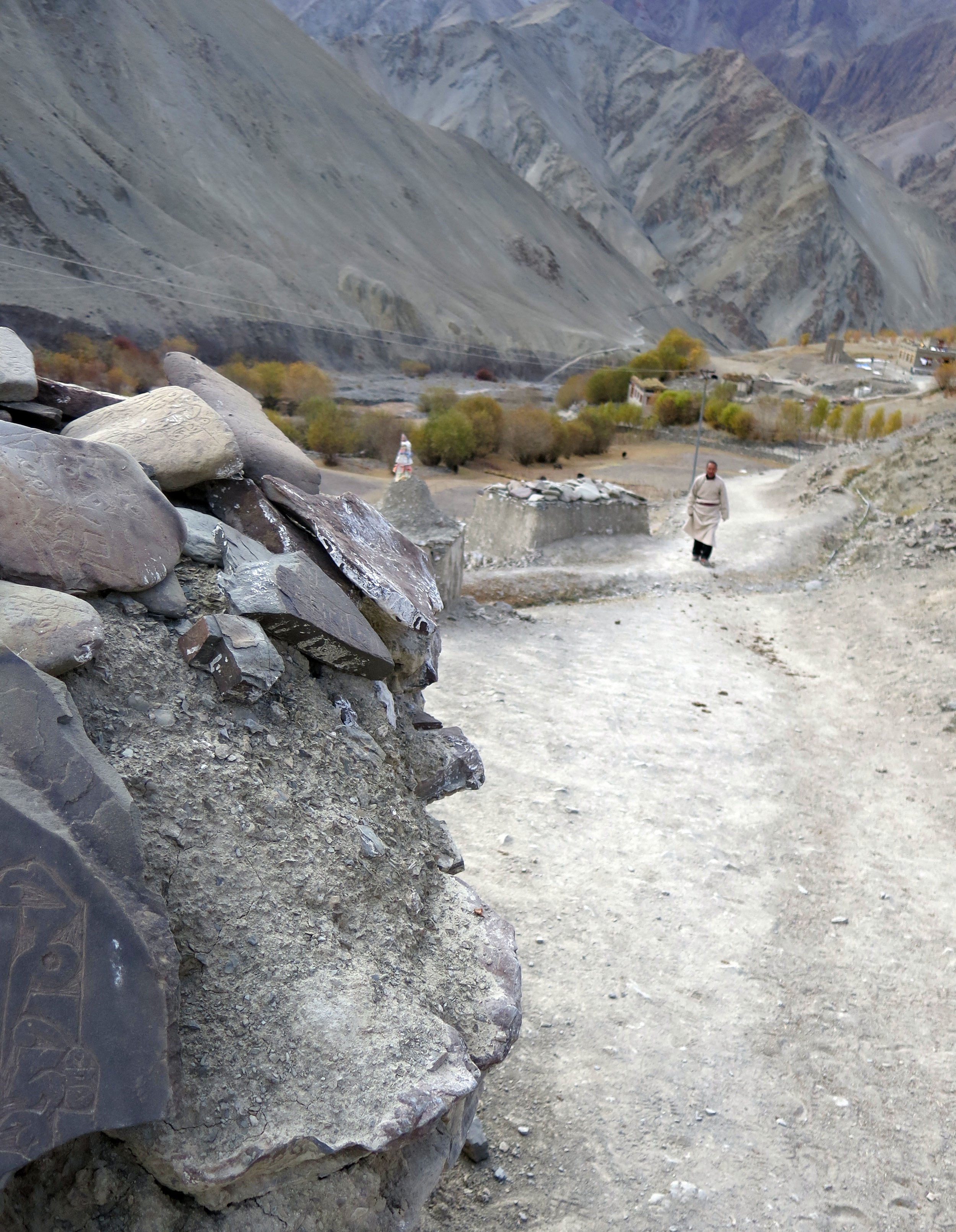 HEMIS NATIONAL PARK - LADAKH INDIA - JAMMU & KASHMIR NEAR RUMBAK VILLAGE (660).JPG