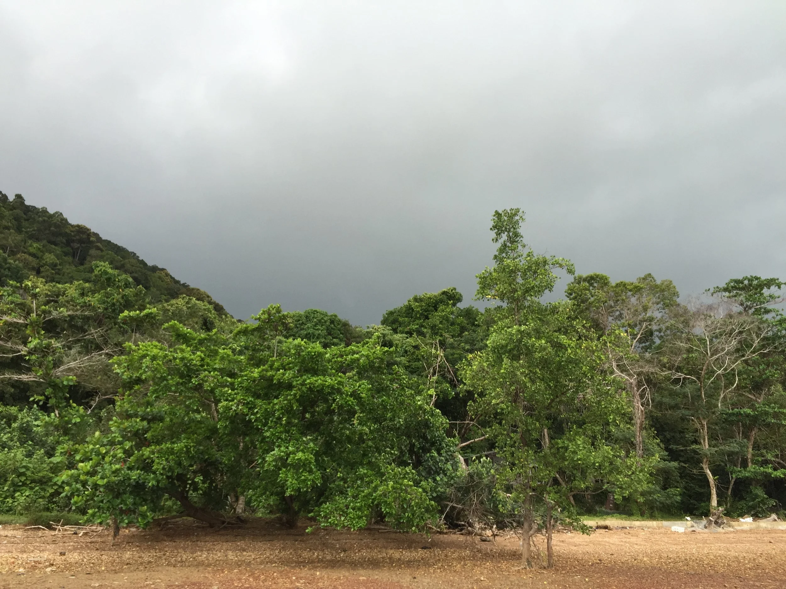 2015 Koh Lanta Garden & Nature (224).JPG