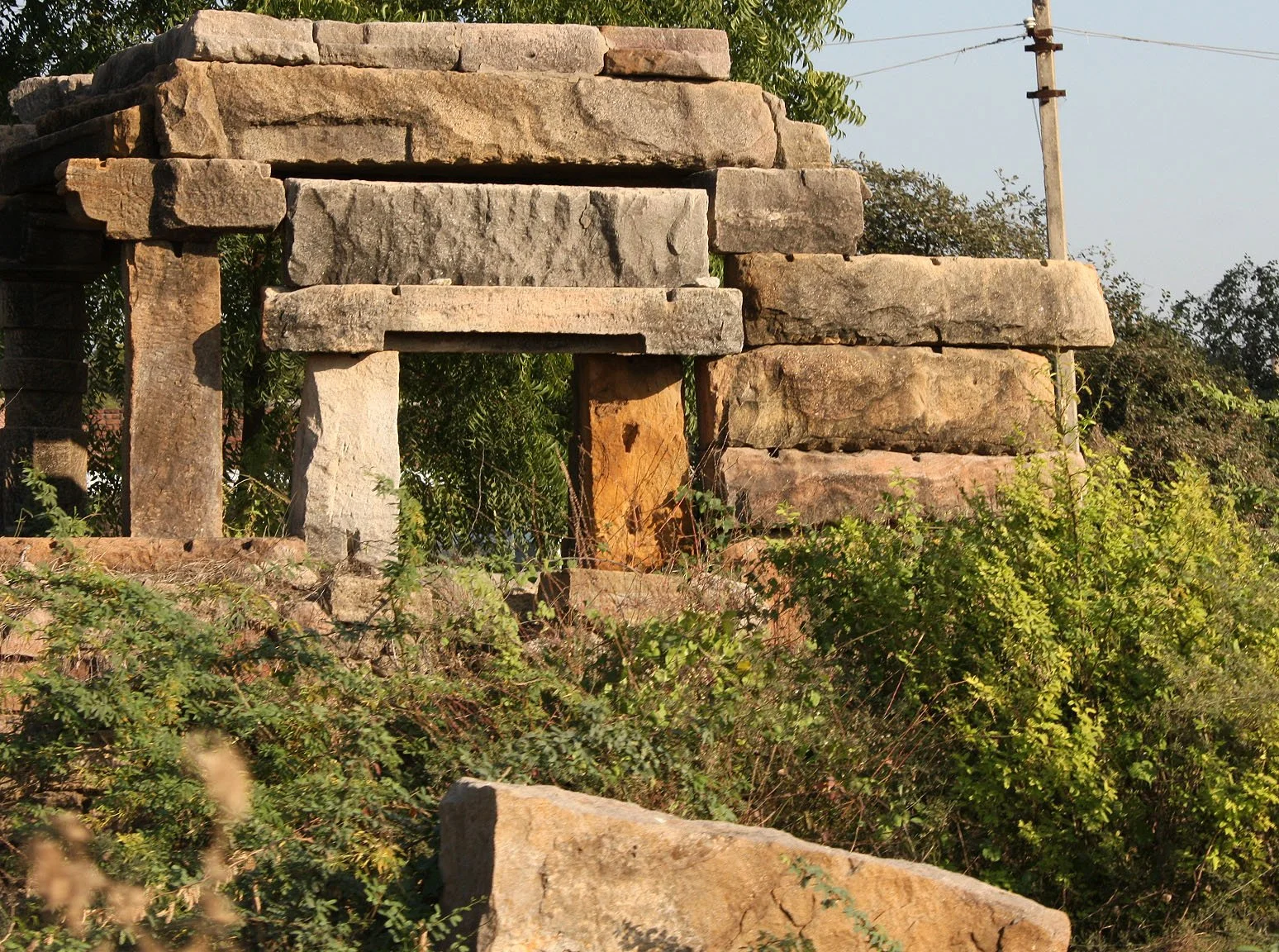 GUJARAT - KUTCH - LITTLE RANN OF KUTCH INDIA (18).JPG
