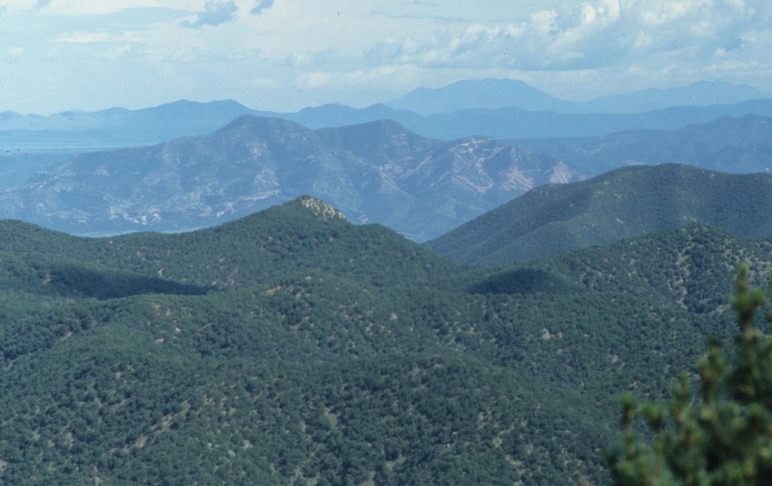 ARIZONA - MADERA CANYON - SKY ISLAND VIEW.jpg