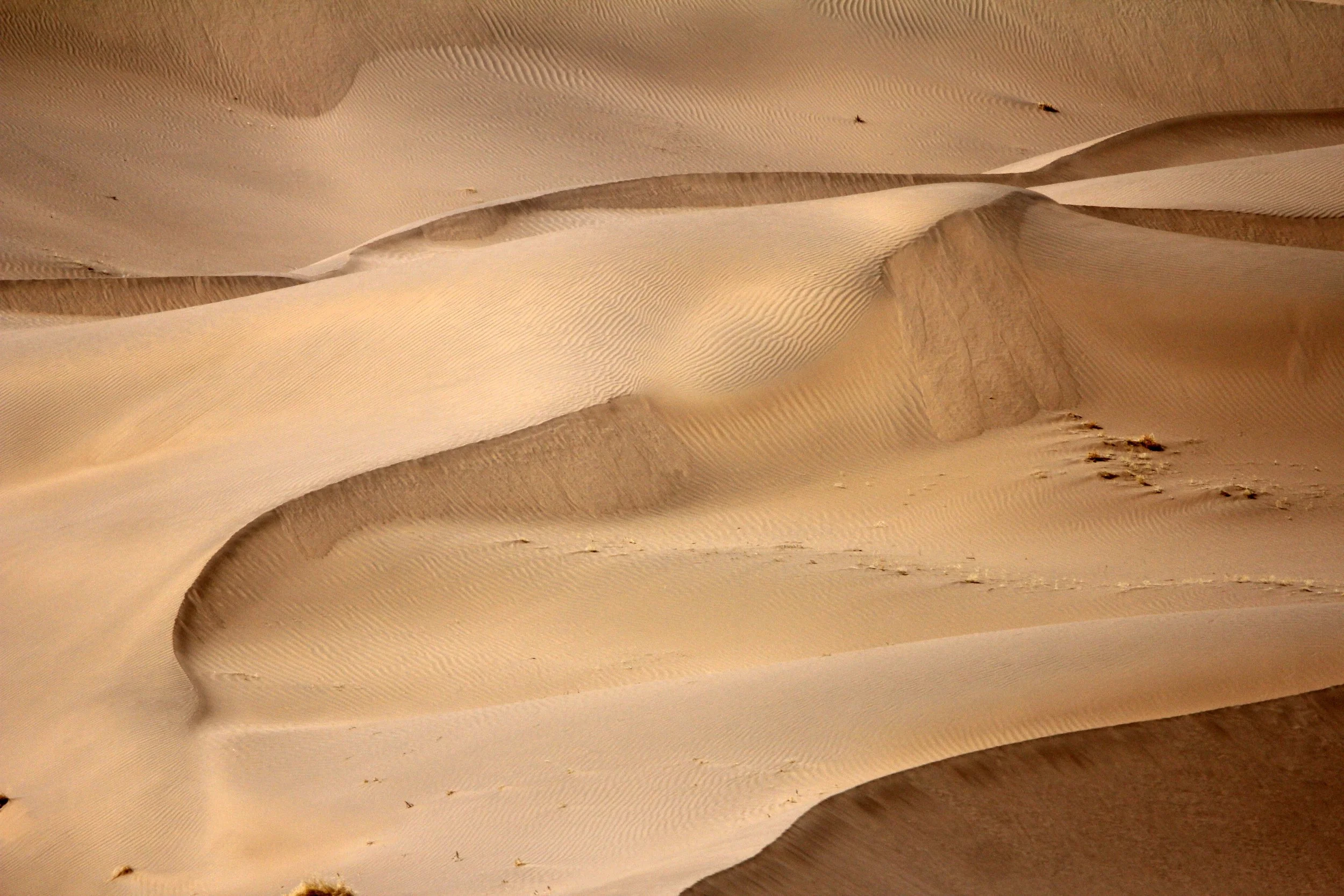 GANSU - DUNES SOUTH OF DUNHUANG - CHINA (22).JPG