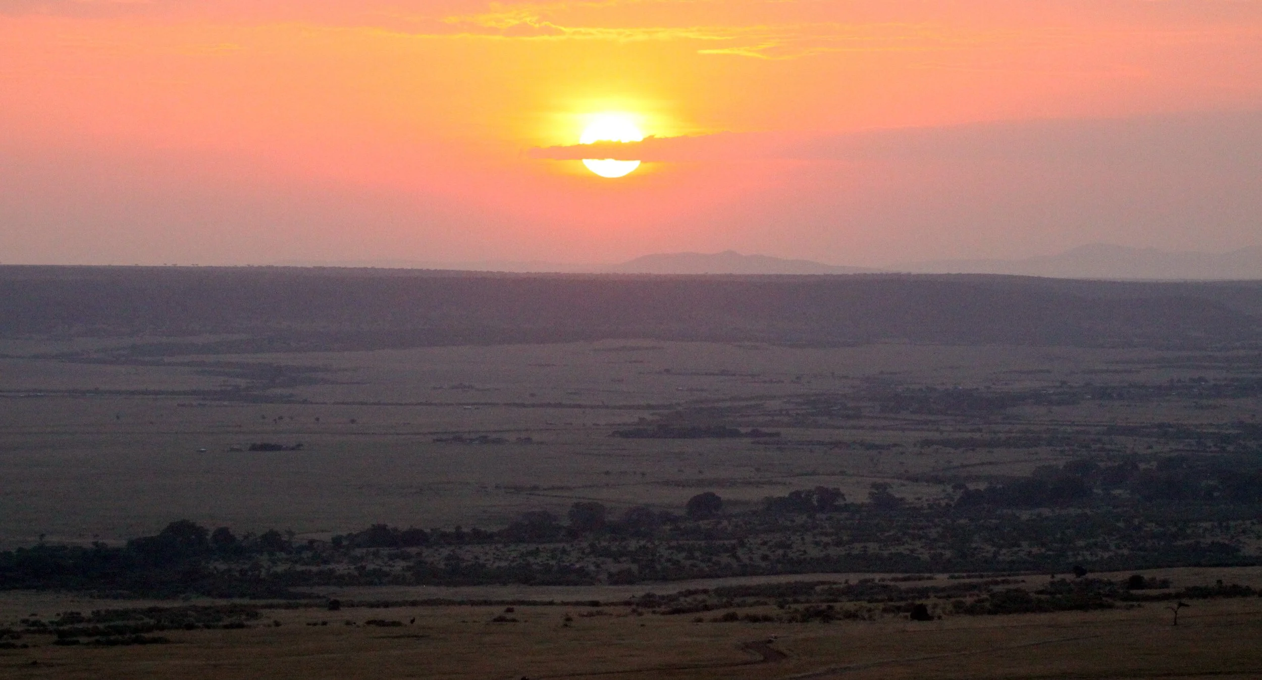 MASAI MARA NATIONAL PARK KENYA (196).JPG