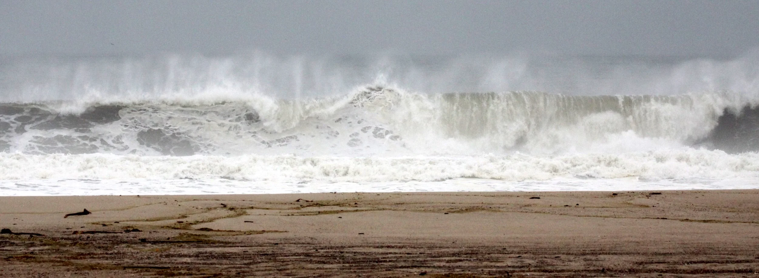 NAMIBIA - SKELETON COAST NATIONAL PARK - SCENERY (13).JPG