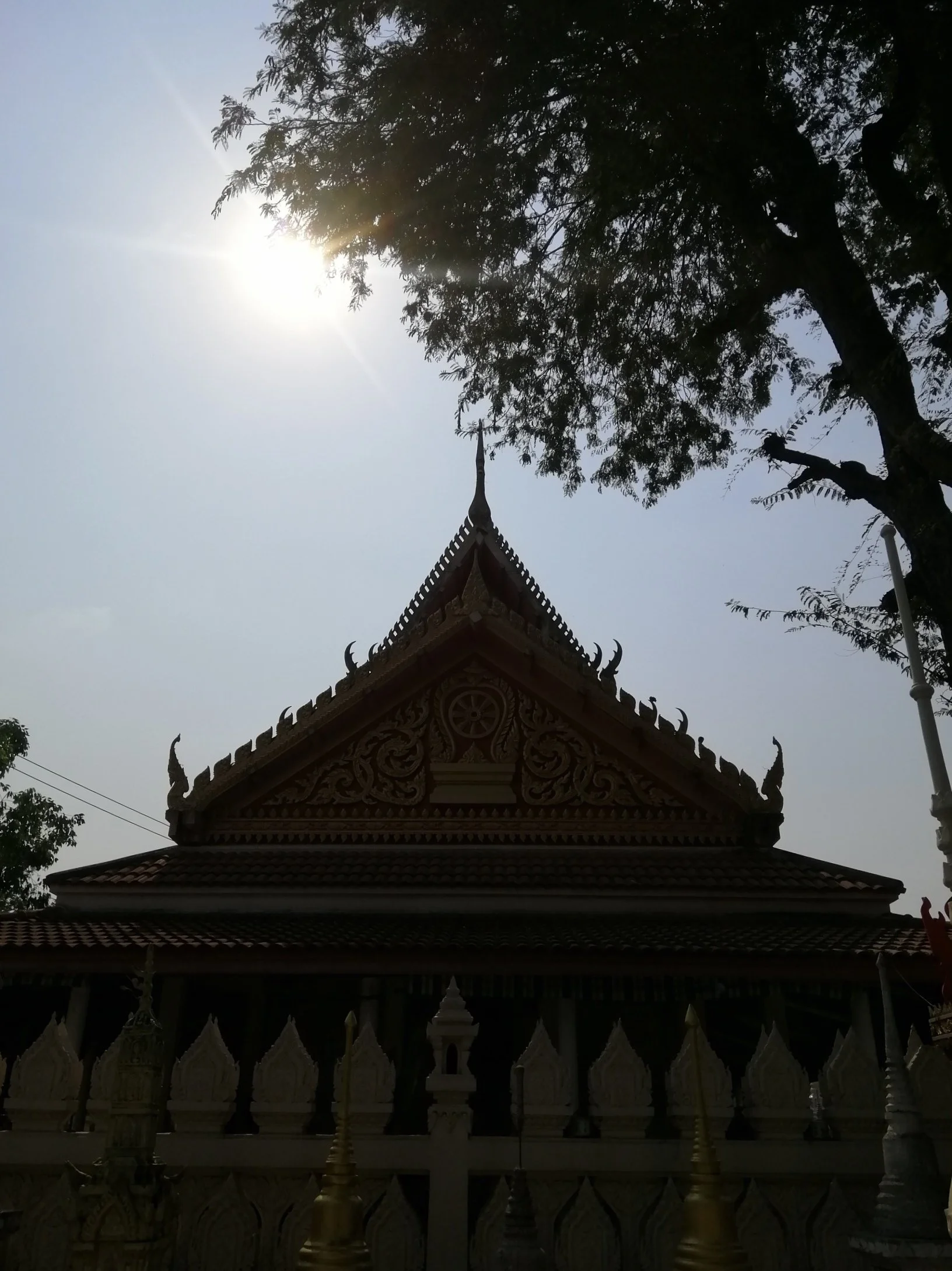 2020 Nakhon Pathom Temples & Chedis with Cokie (48).jpg