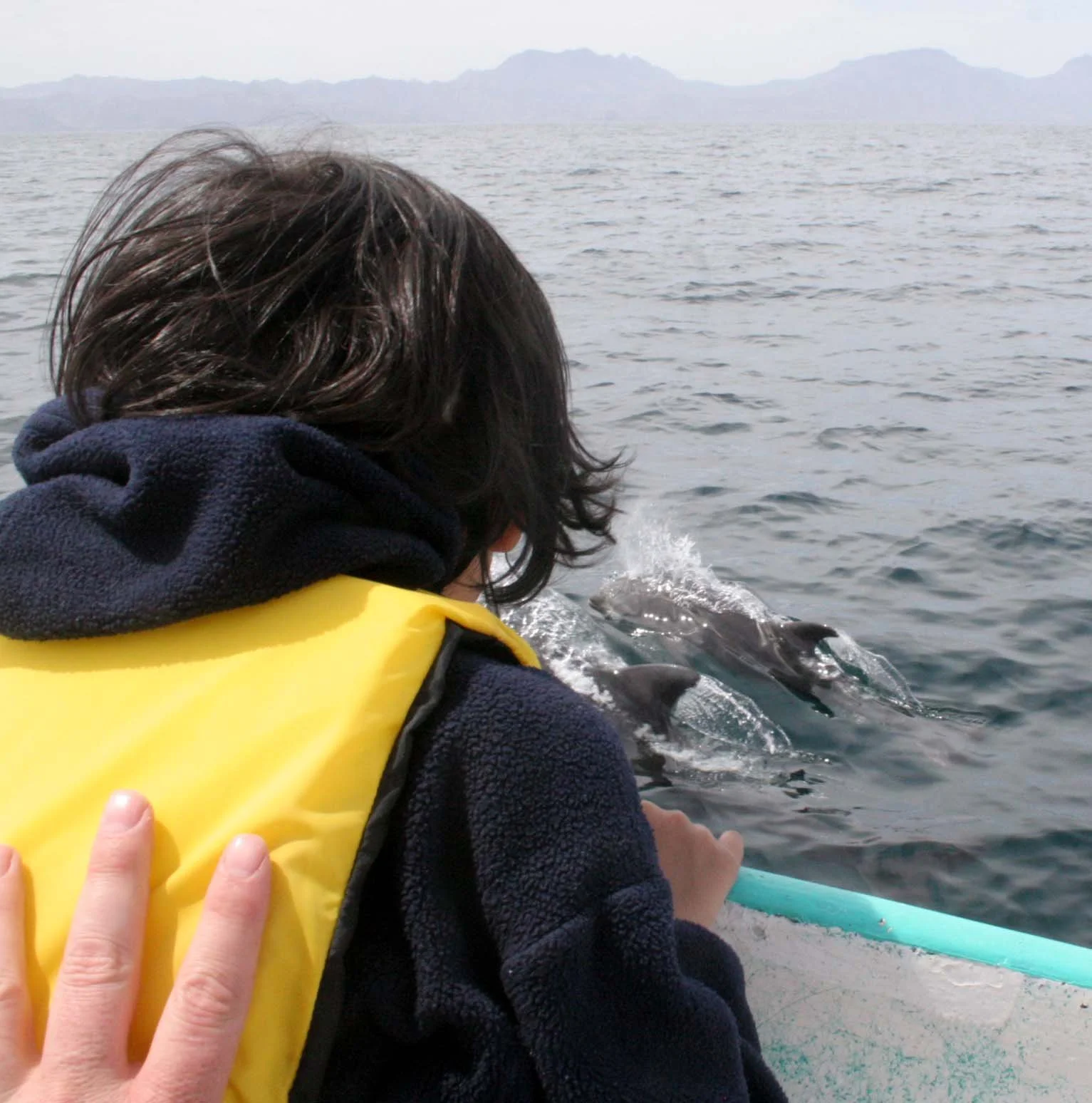 BAHIA DE LORETO - COKIE WATCHING BOTTLENOSE DOLPHINS - BAJA MEXICO (9).JPG