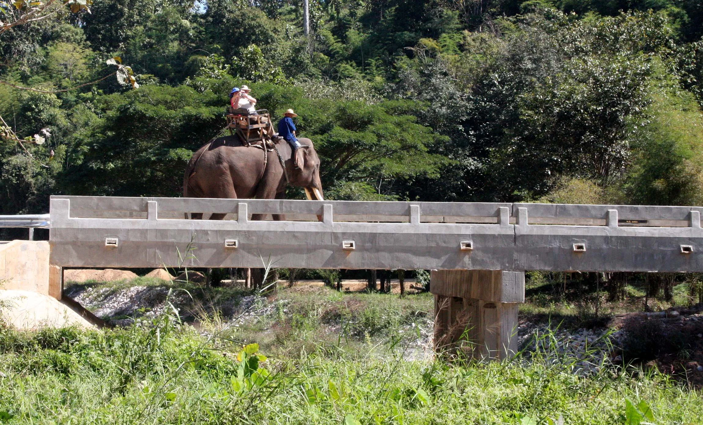 2008 Lampang City & Elephant Center (34).JPG