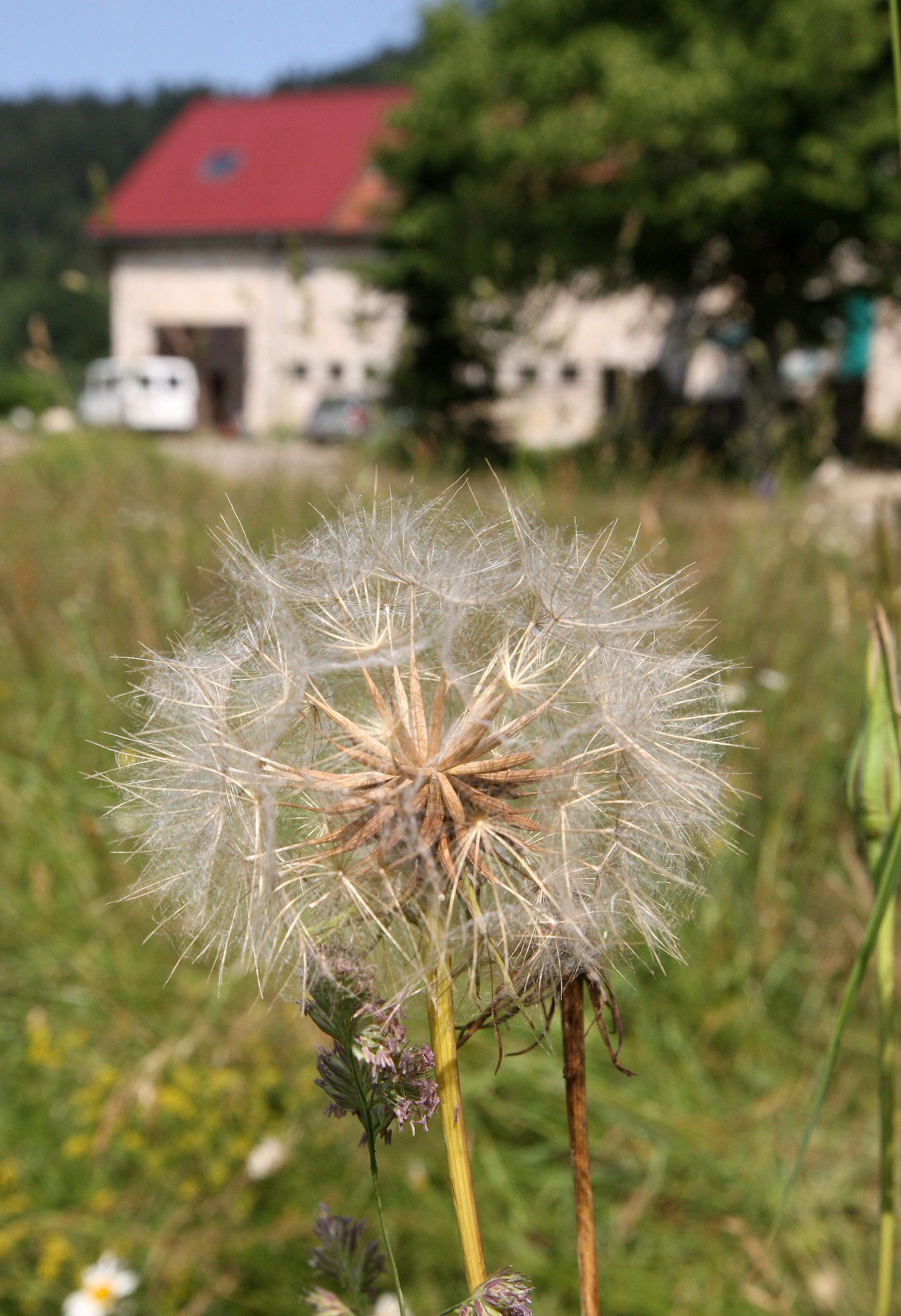 MILAN ITALY - JULY 2013 (52).JPG