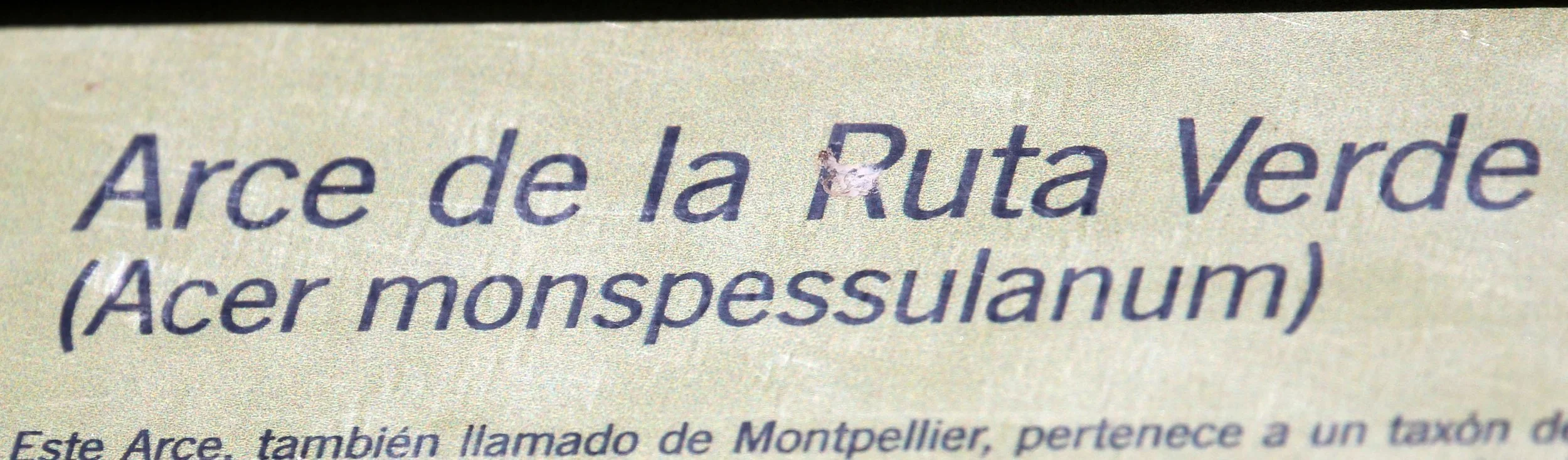 EL TORCAL NATIONAL PARK SPAIN (3).JPG