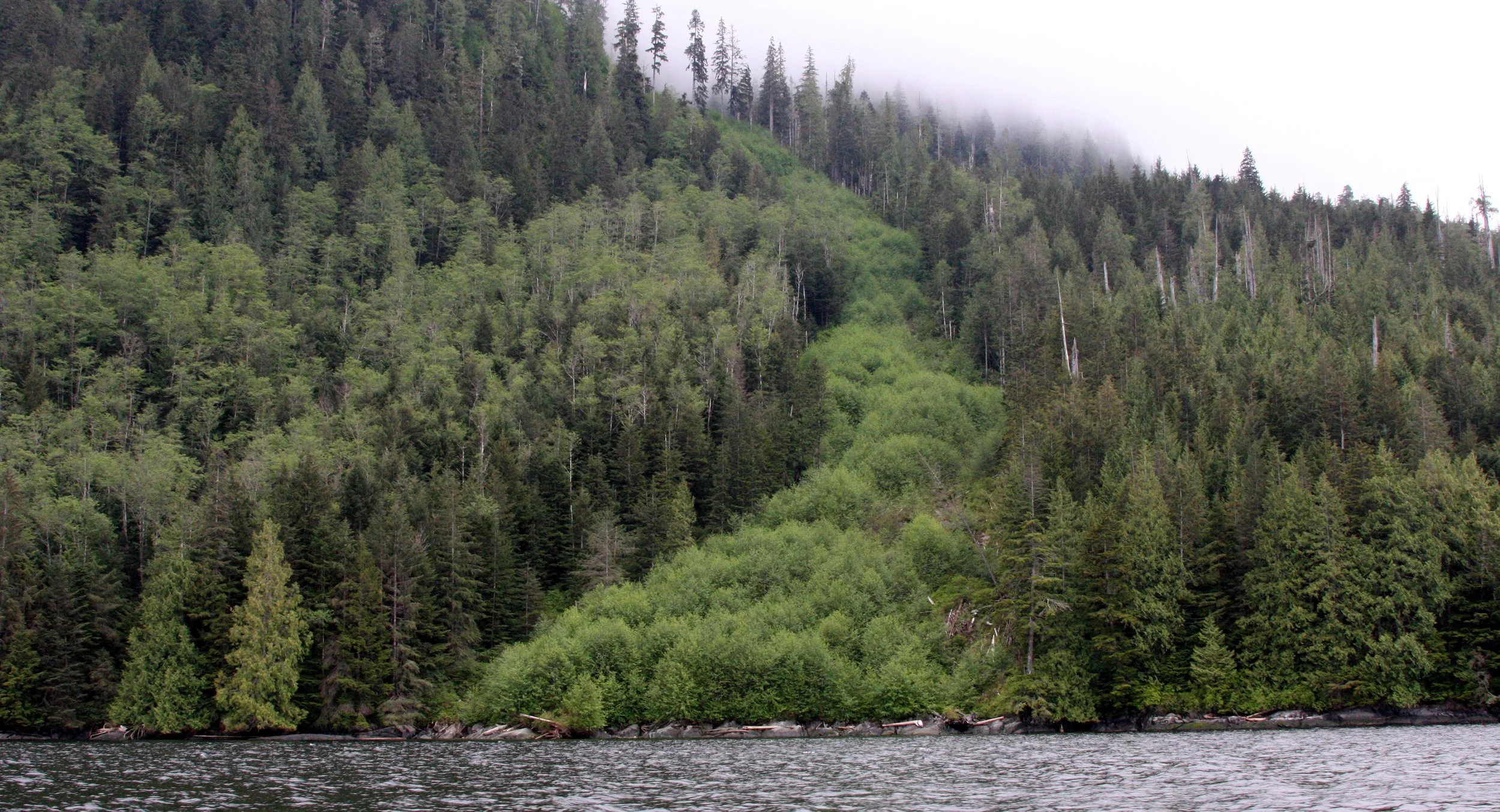 KNIGHT'S INLET BRITISH COLUMBIA - LANDSLIDES.JPG