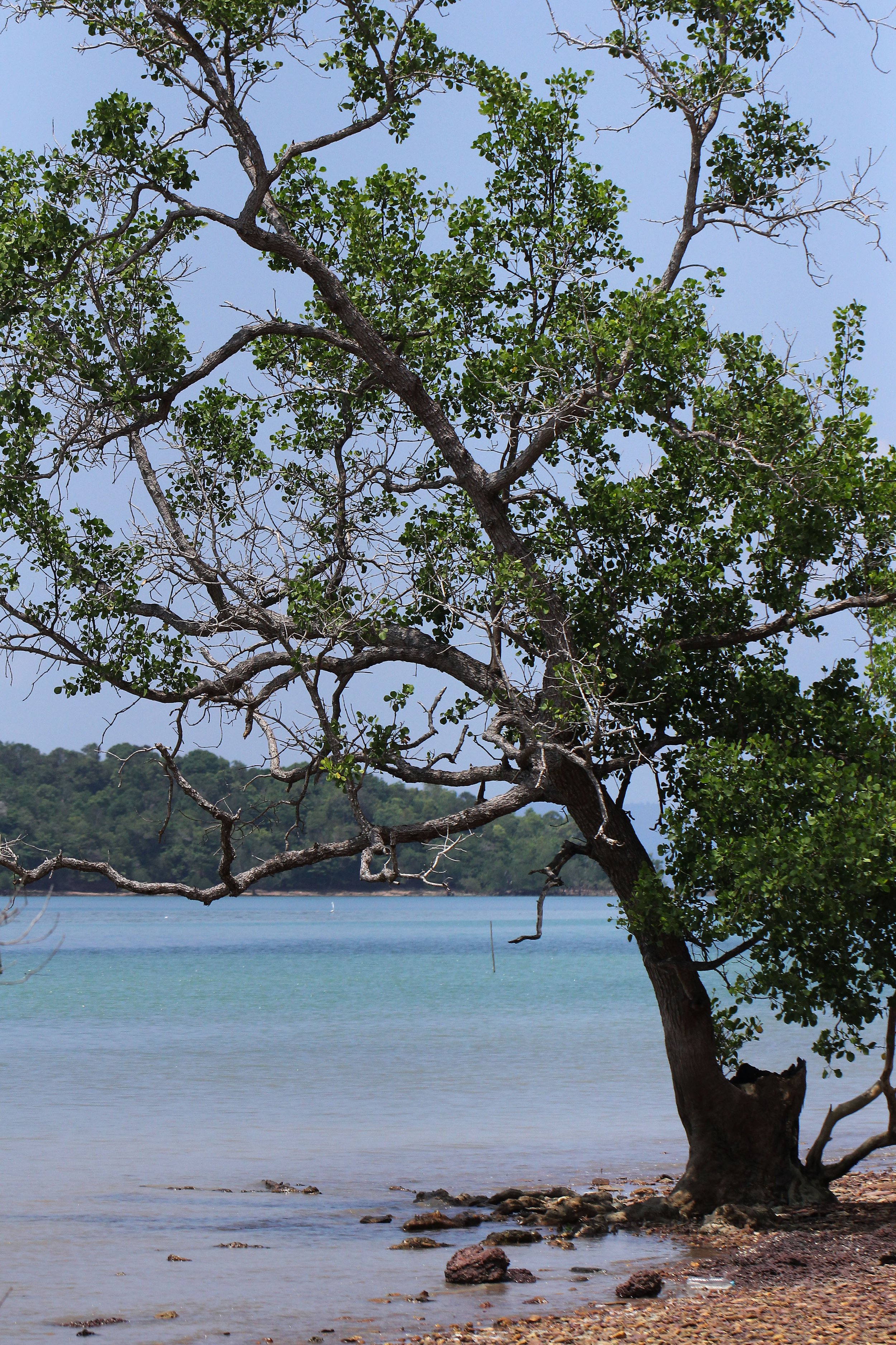 2015 Koh Lanta Summer Misc Images (1130).JPG