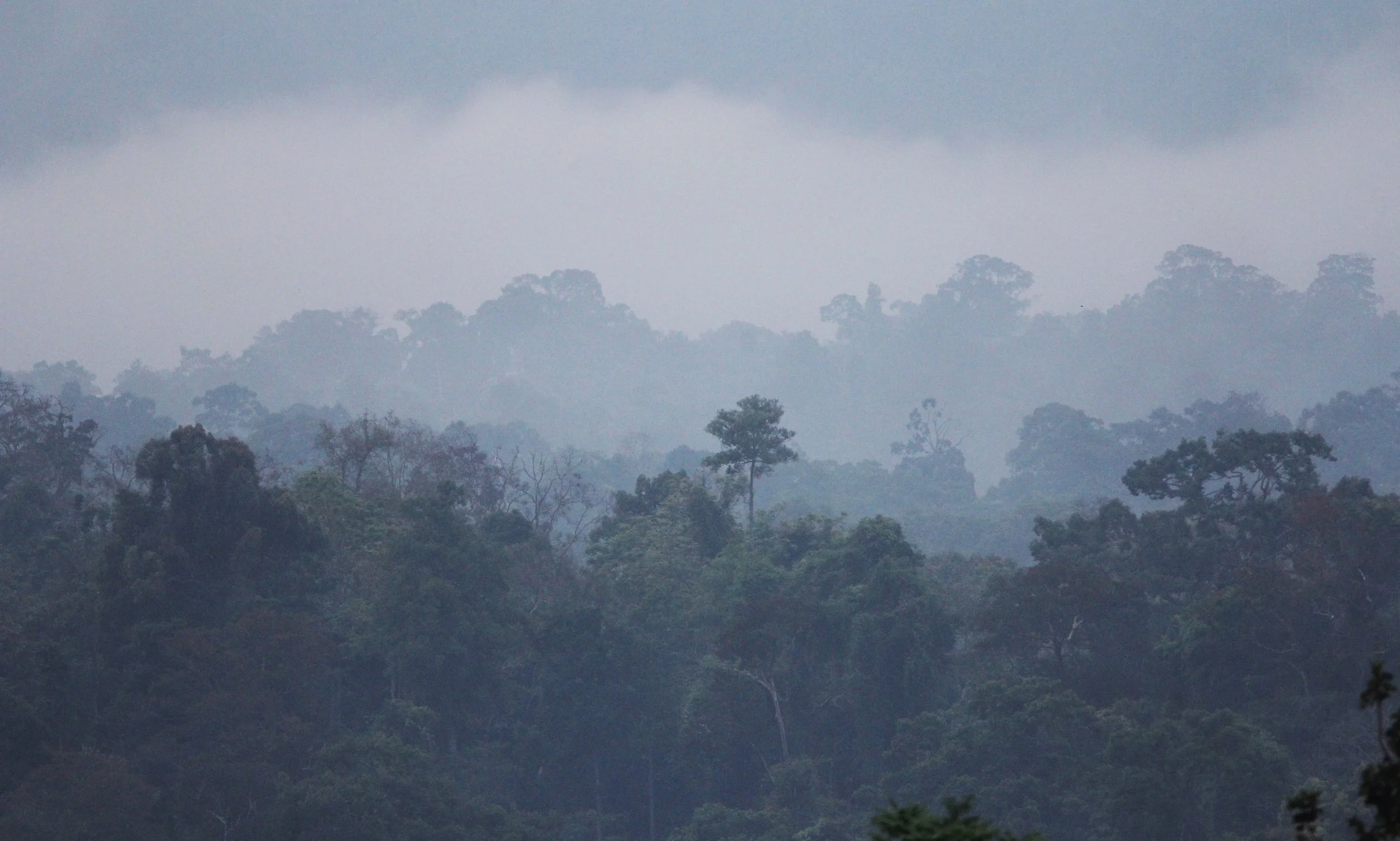 2015 Khao Pang Ma Nonhunting Area (36).JPG