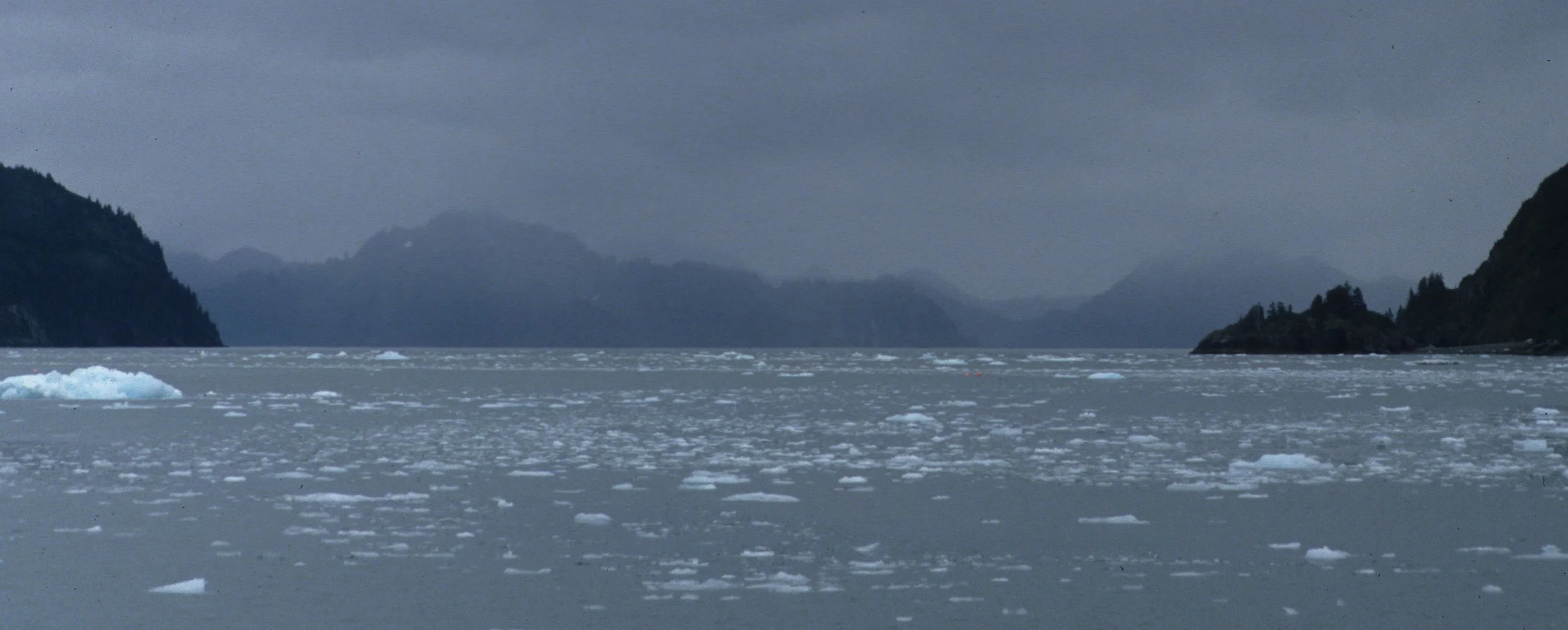 ALASKA - KENAI FJORDS NP.jpg