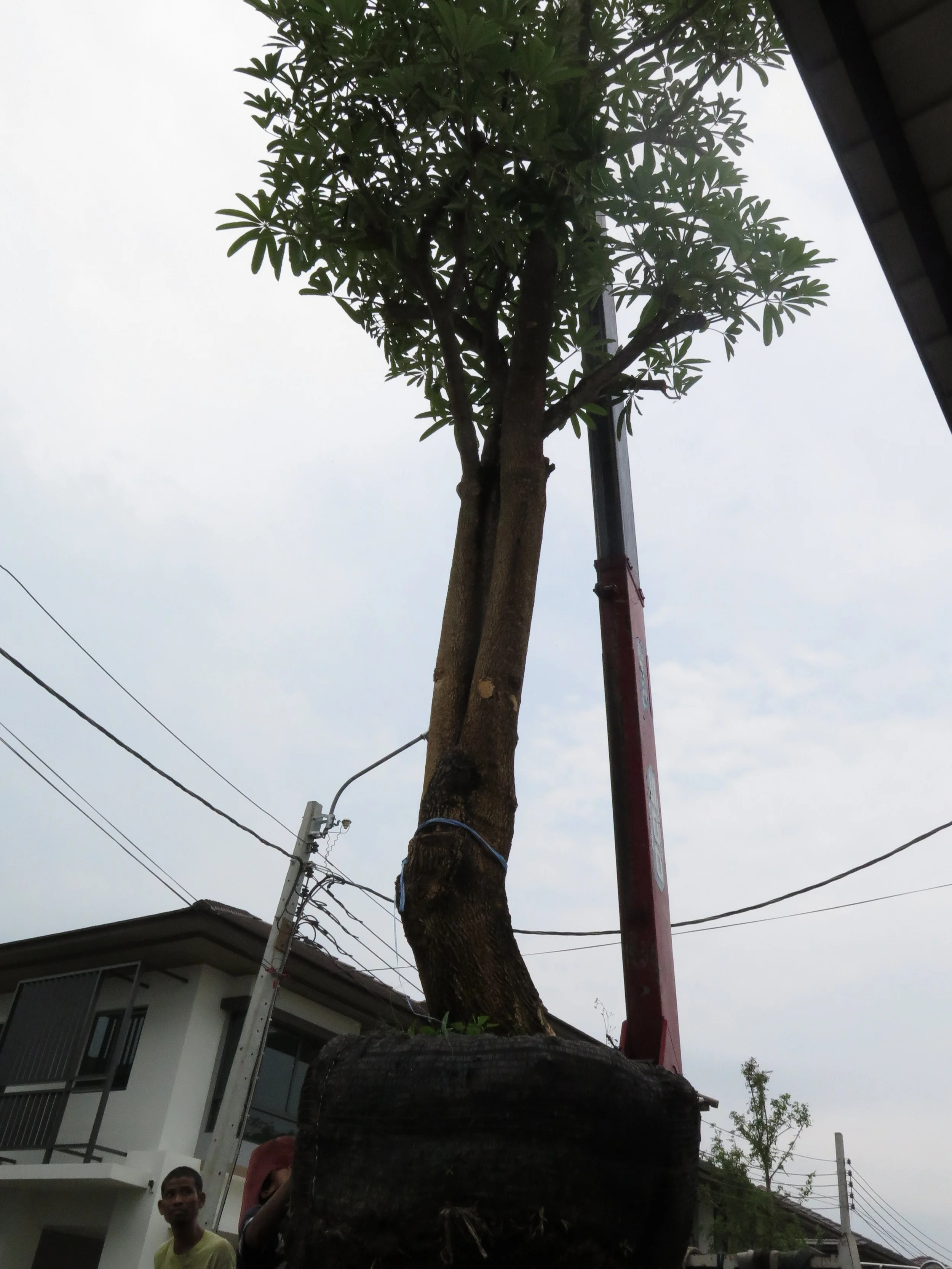 2013 Nonthaburi Setthasiri House and Nonthaburi Neighborhood (34).JPG