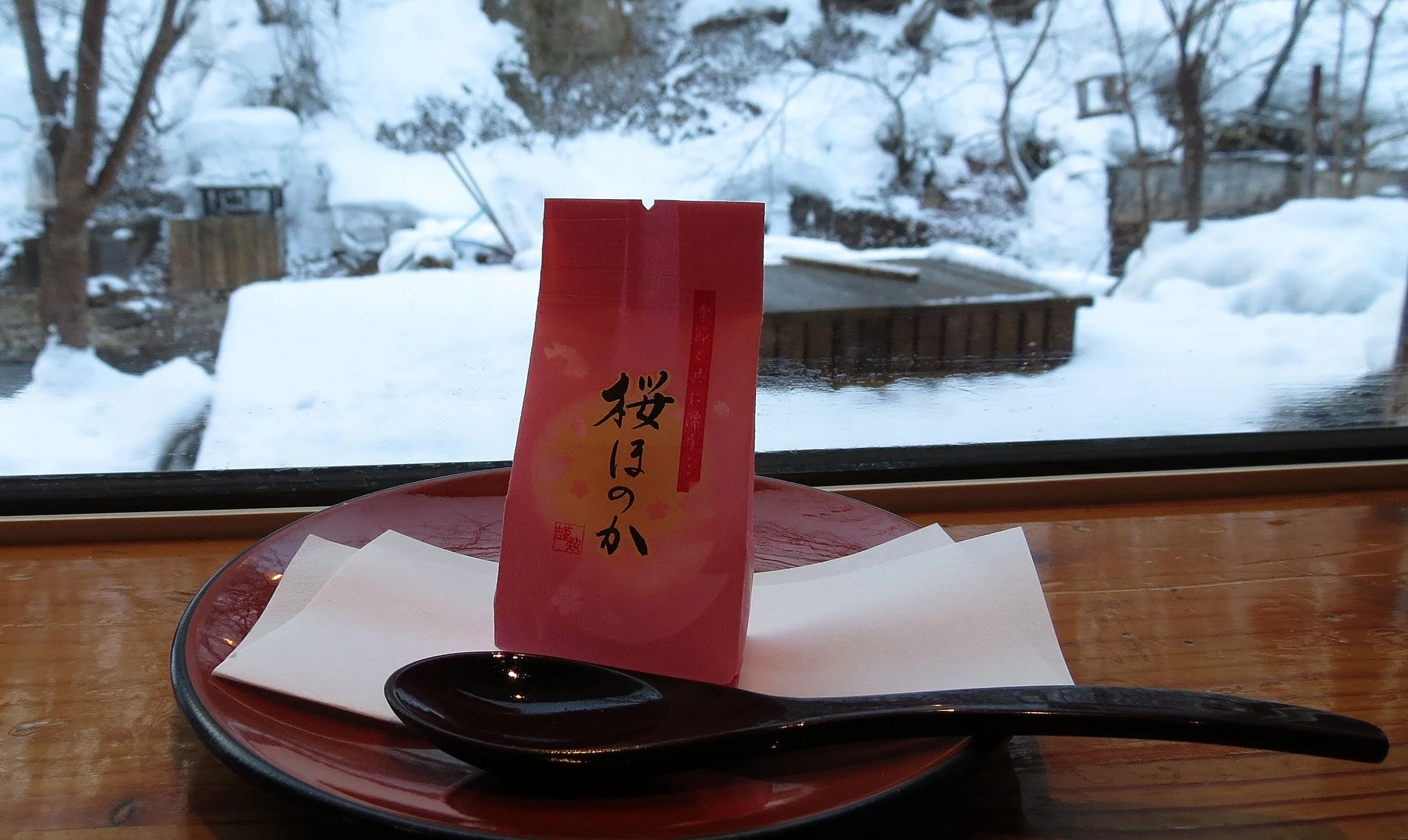 YOROUSHI ONSEN - DAIICHI SPA - HOKKAIDO JAPAN (68).JPG