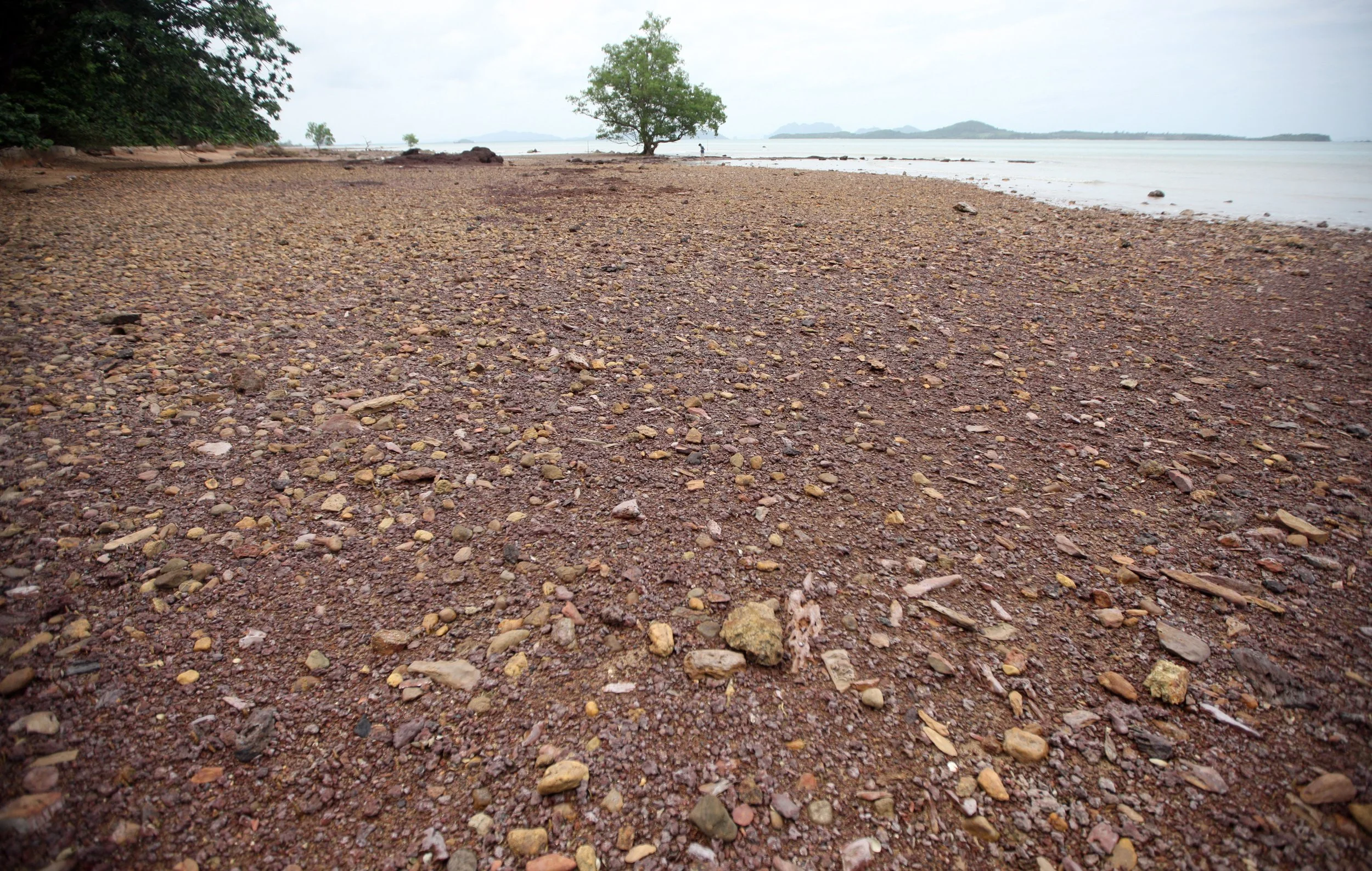 2014 Lanta Summer Fun (27).JPG