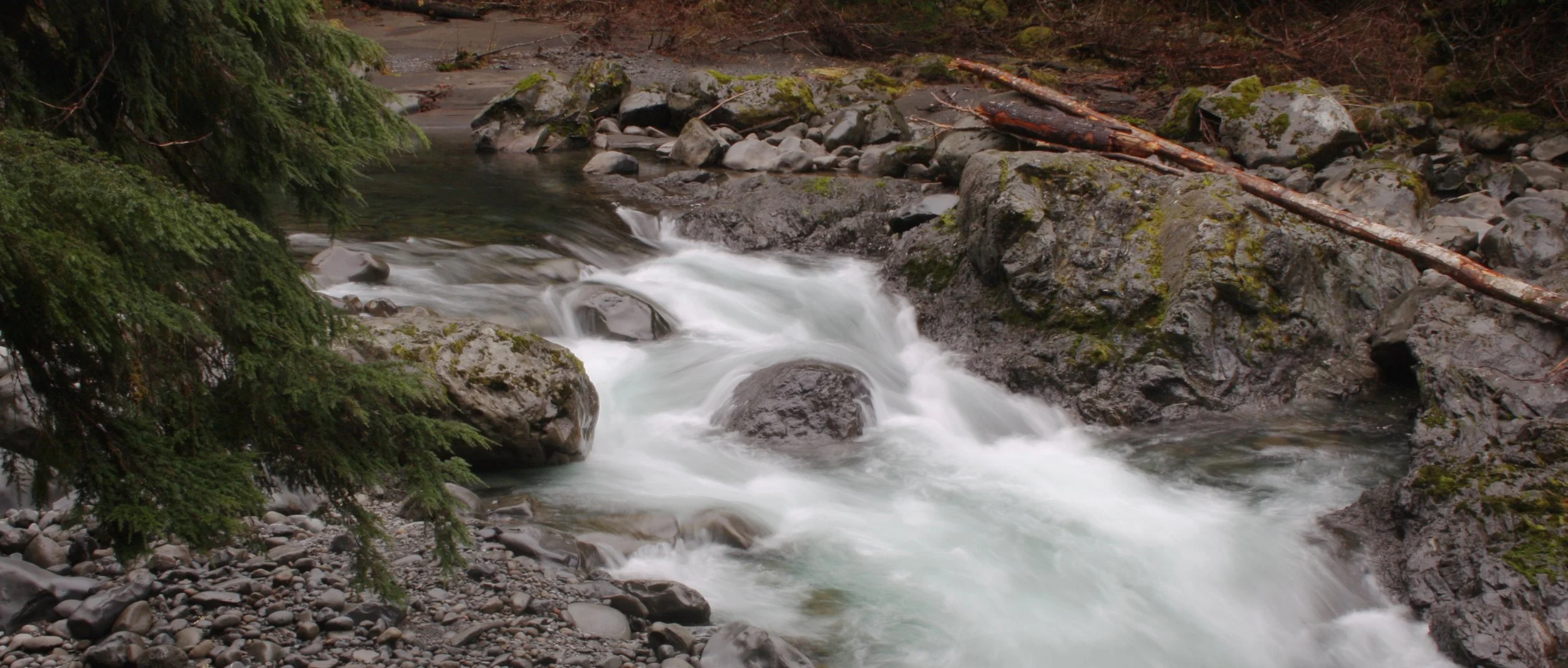 SOL DUC FALLS AND FOREST - ONP WA.JPG