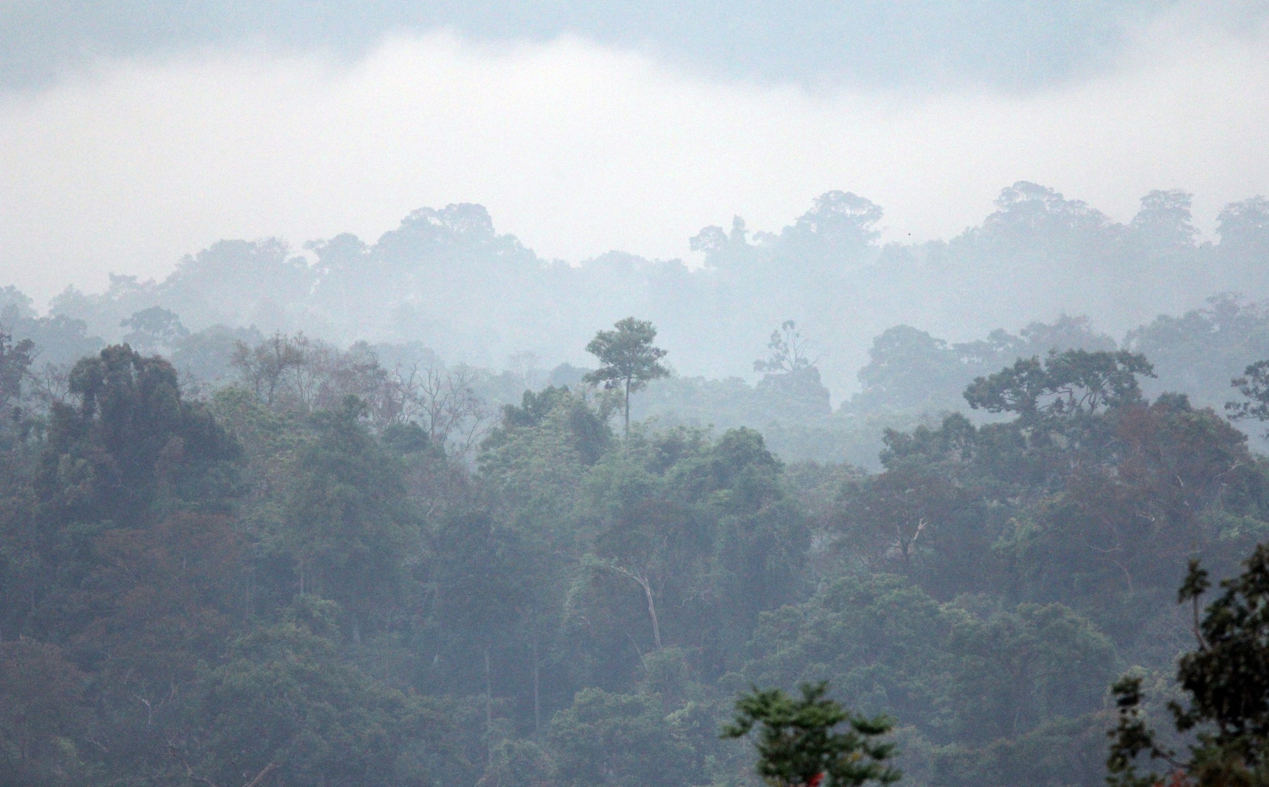2015 Khao Pang Ma Nonhunting Area (37).JPG