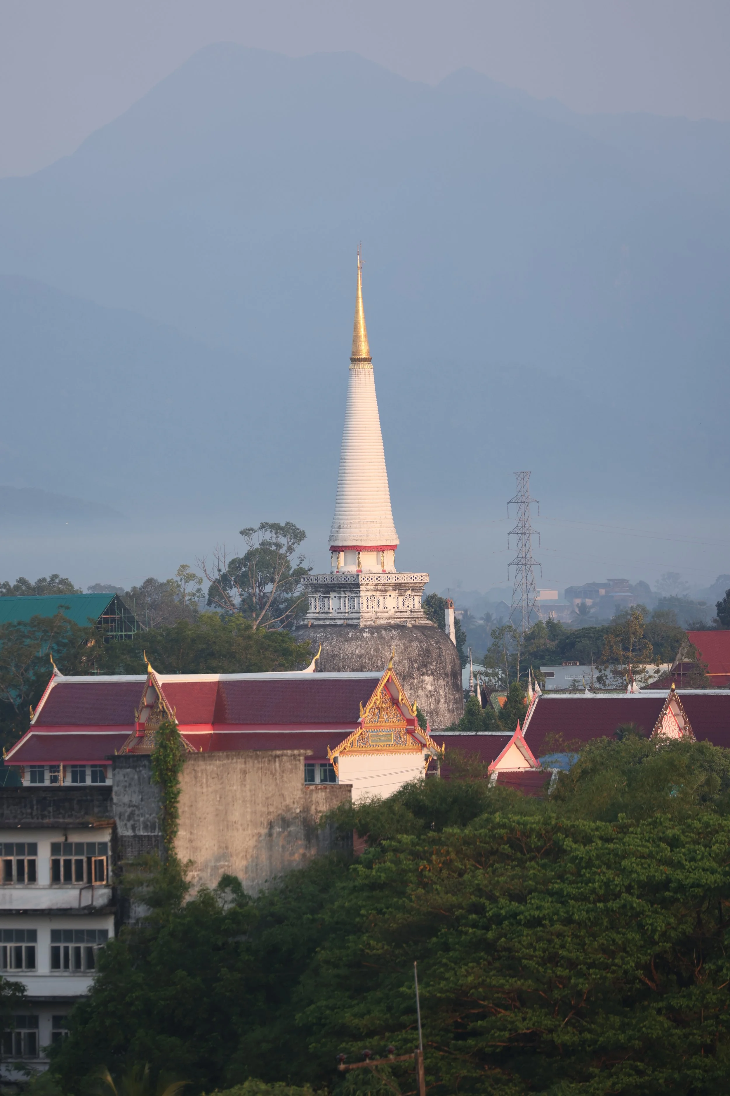 2022 Nakhonsithammarat Wat Mahatat and City Scenes with Cokie (8).JPG