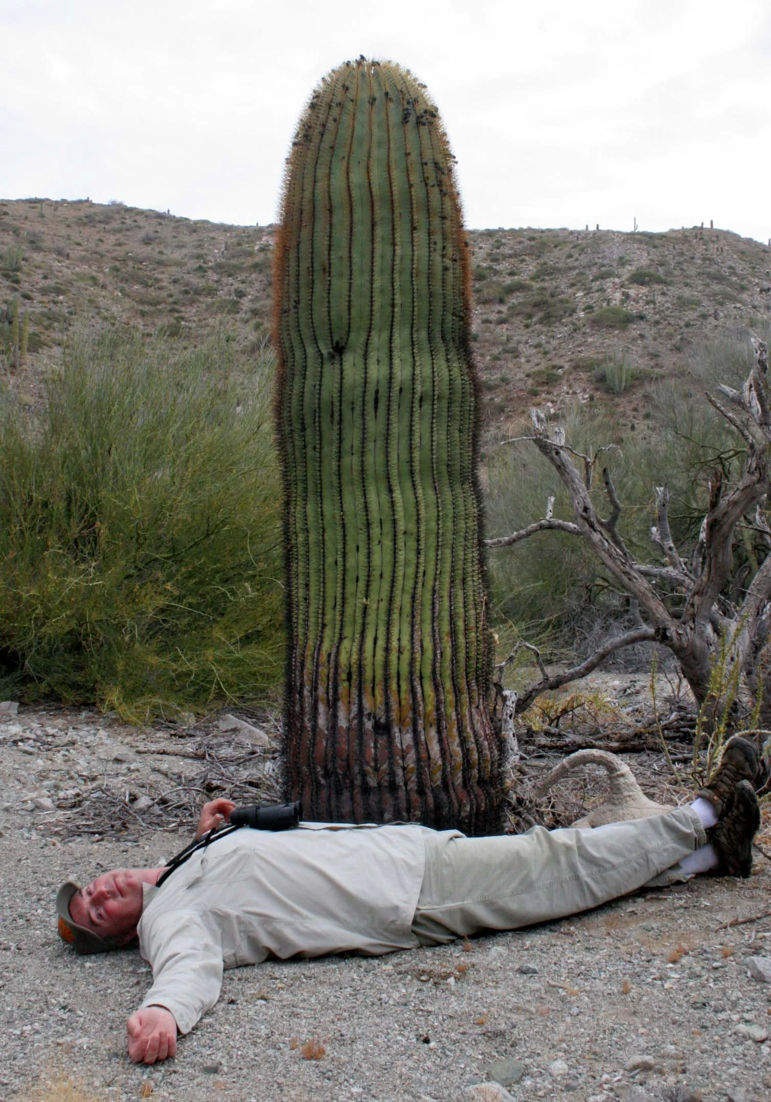 ISLA CATALINA - WITH THE CATALINA BARREL CACTUS (8).JPG