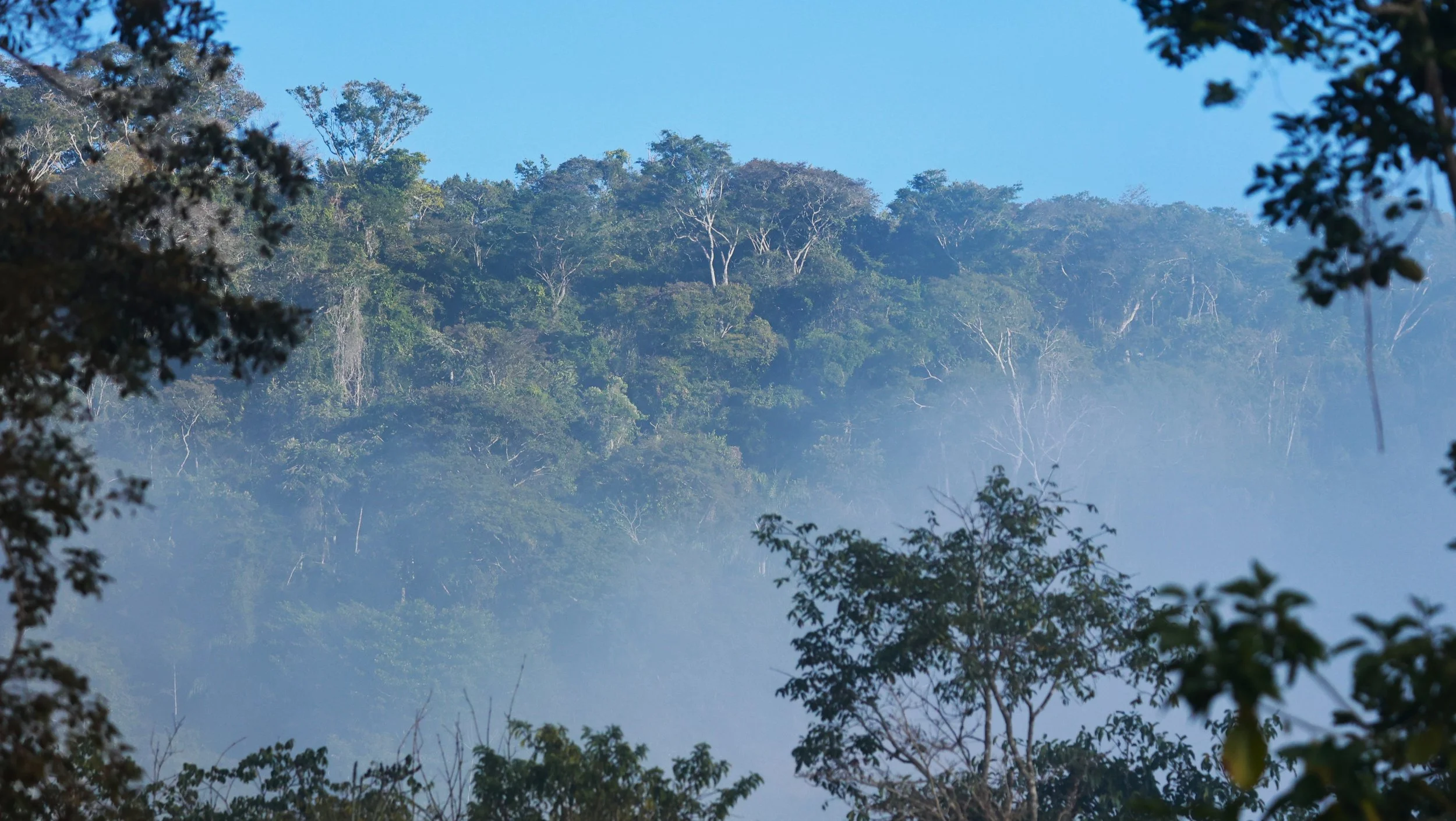 Feliciano Miguel Abdala Reserve (Caratinga Biological Reserve)  (11).JPG
