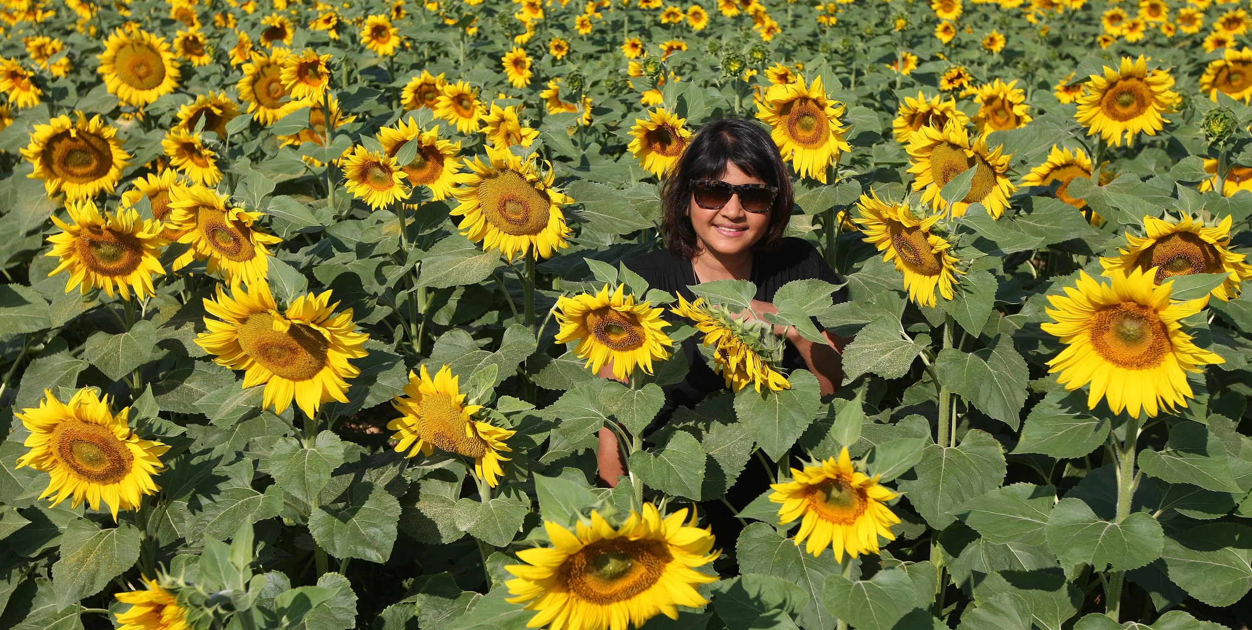 VERCORS NATIONAL PARK FRANCE (68).JPG