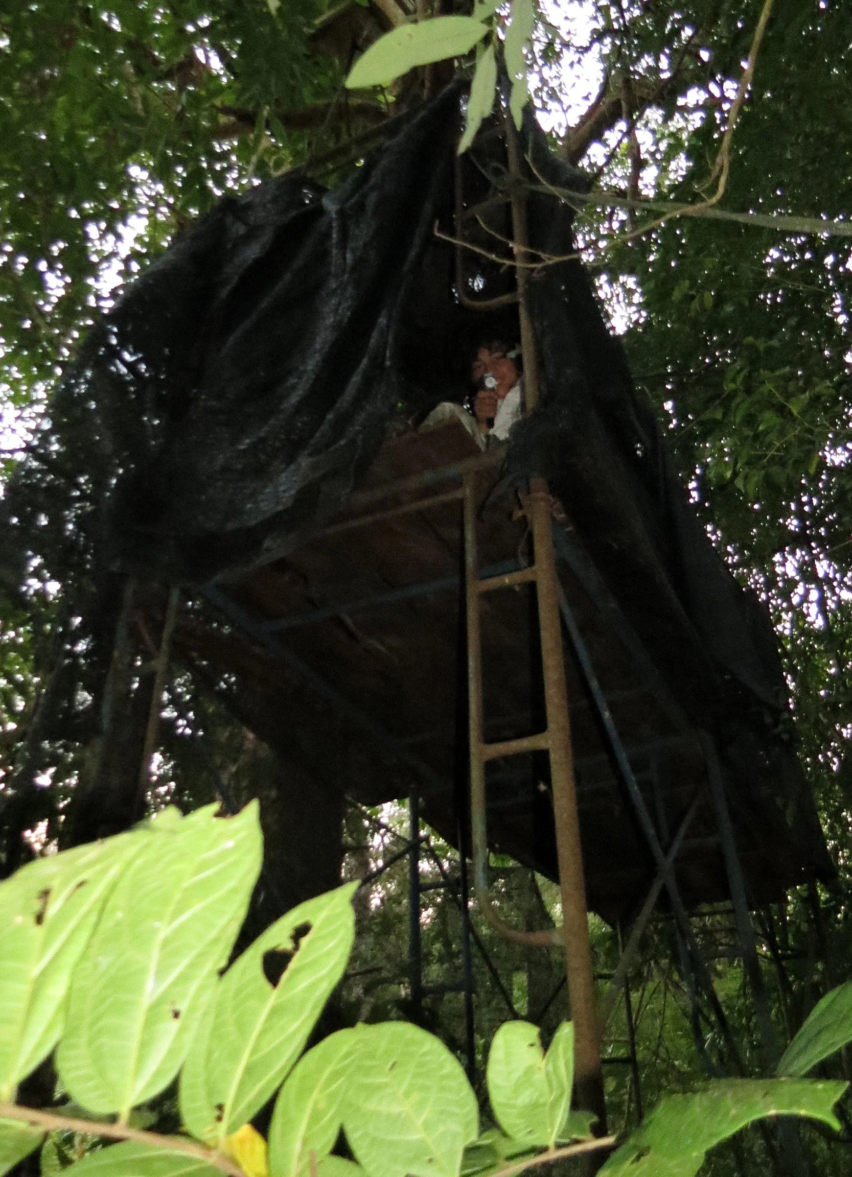 2014 Huai Kha Khaeng Bruce Kekule Trip (258).JPG