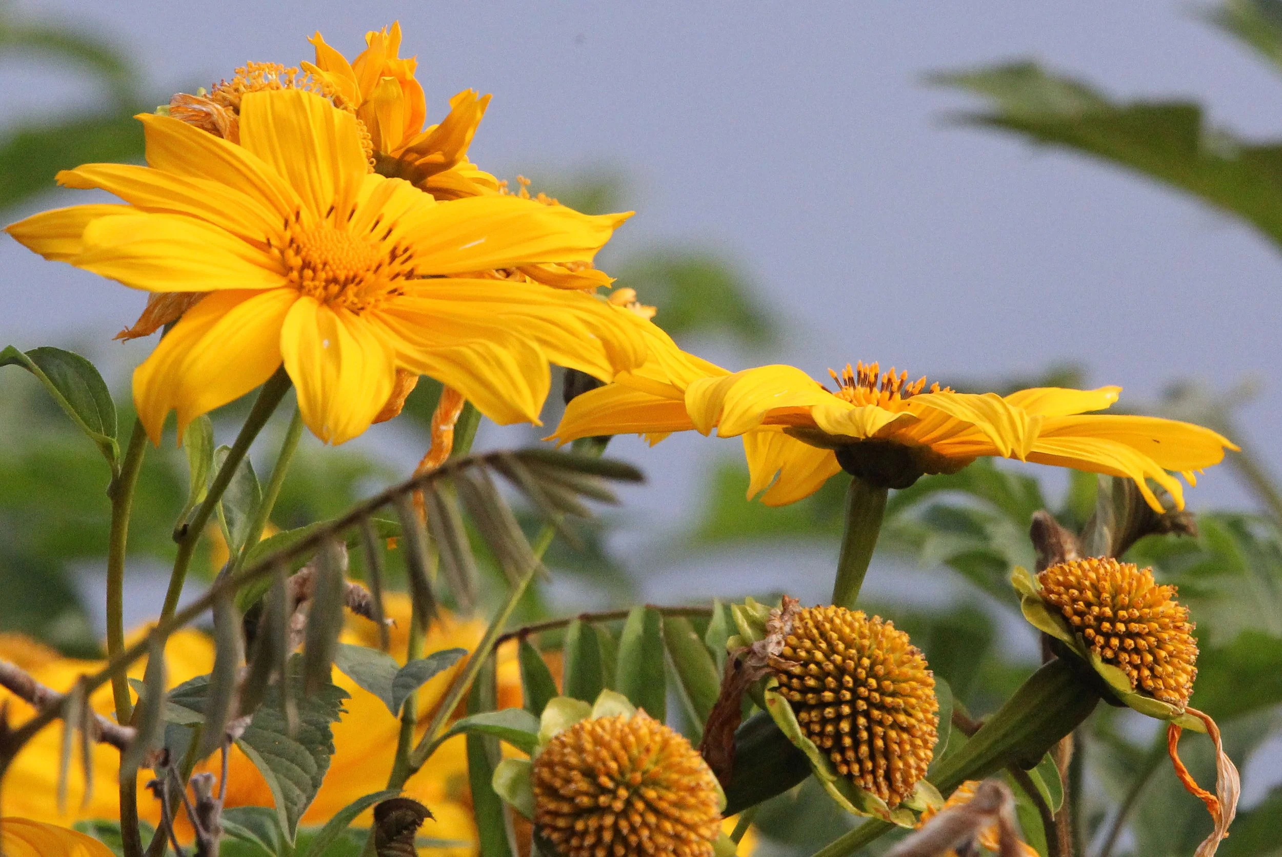 RUHENGERI RWANDA (5).JPG