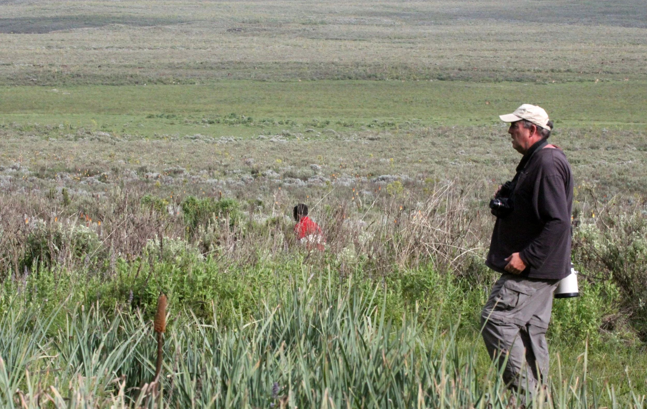 BALE MOUNTAINS NATIONAL PARK ETHIOPIA - GAYSAY GRASSLANDS.JPG