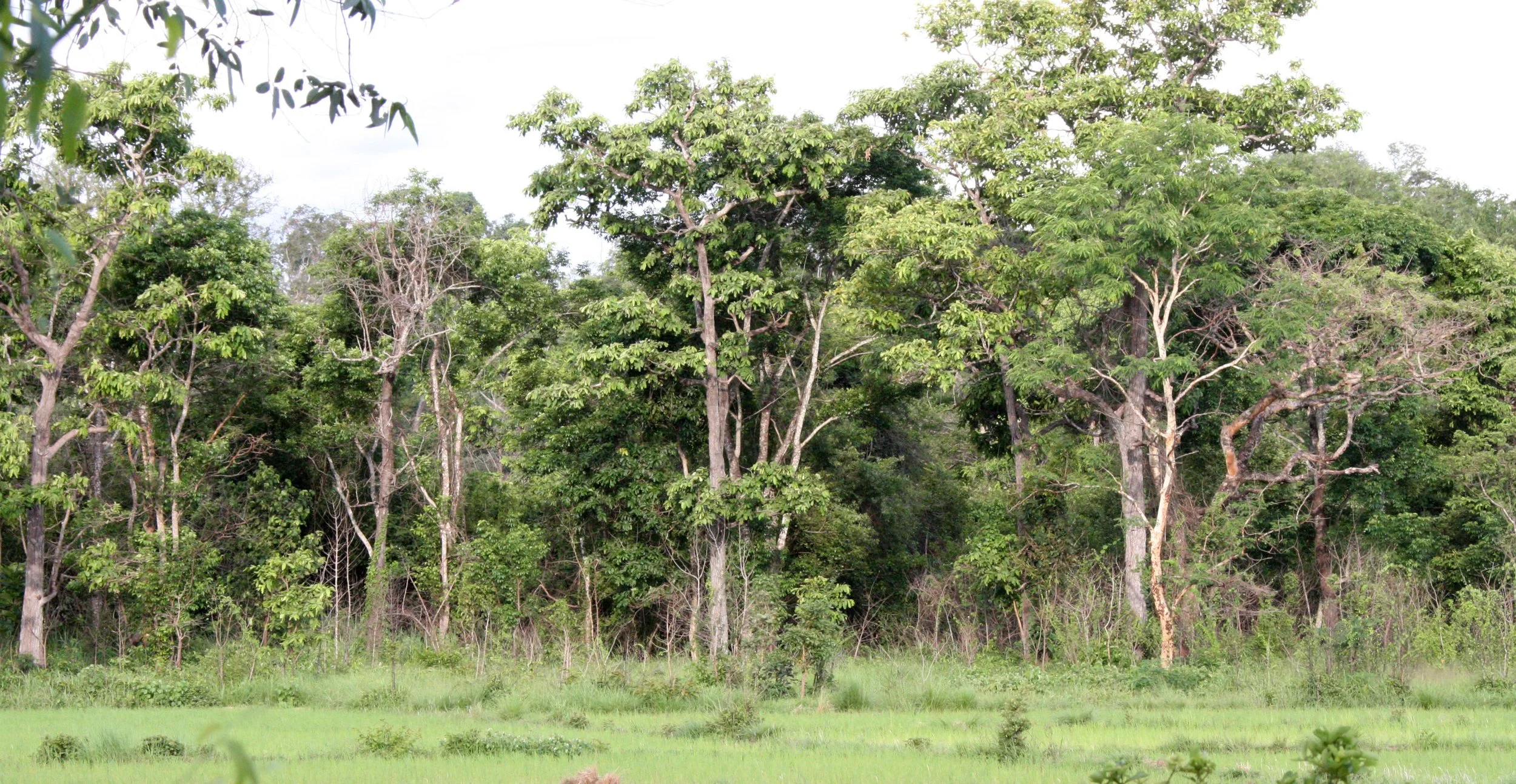 KOH KER - COUNTRYSIDE ON THE WAT TO - CAMBODIA (6).JPG