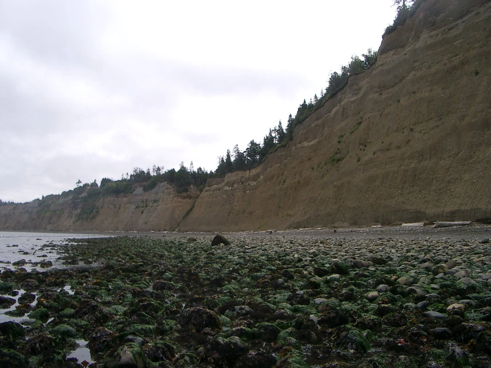 2003-7-31 FAMILY REUNION IN WASHINGTON AND CANADA (52).JPG