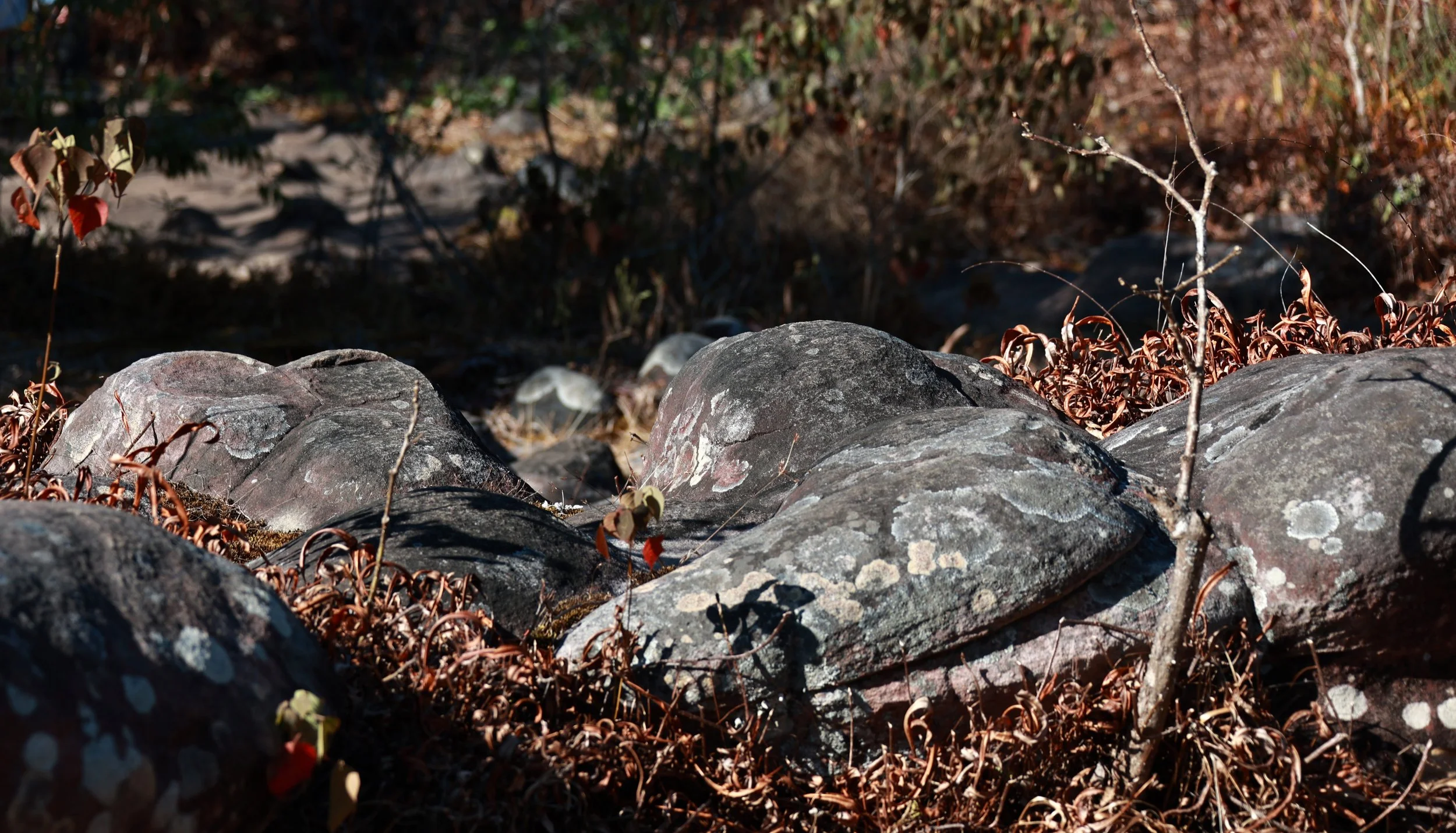 Phu Hin Rong Kla National Park Loei Province (41).jpg