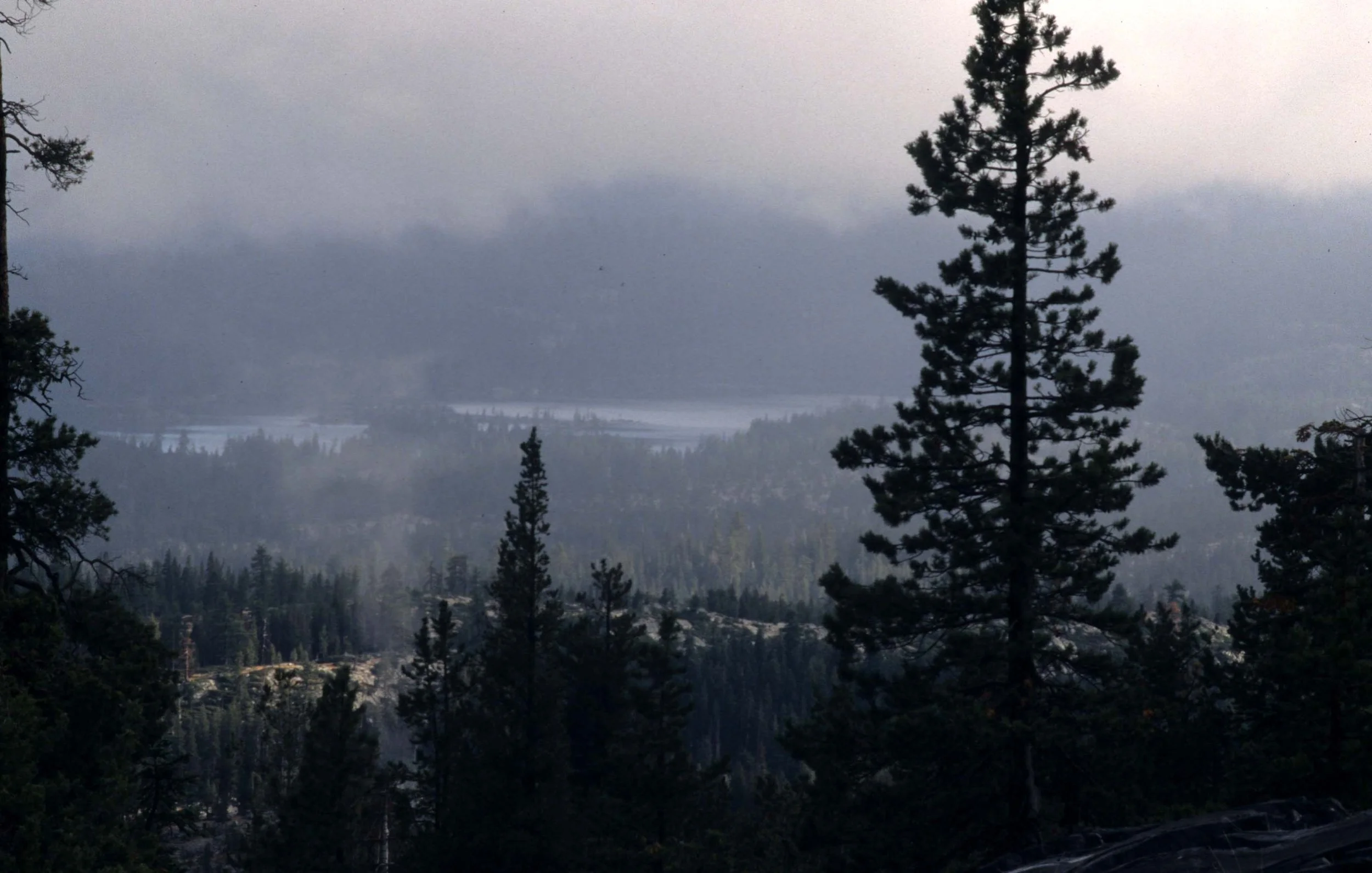 CALIFORNIA - SIERRA NEVADA MOUNTAINS (11).jpg