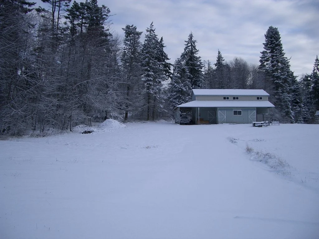 2004-1-3 LAKE FARM IN SNOW (16).JPG