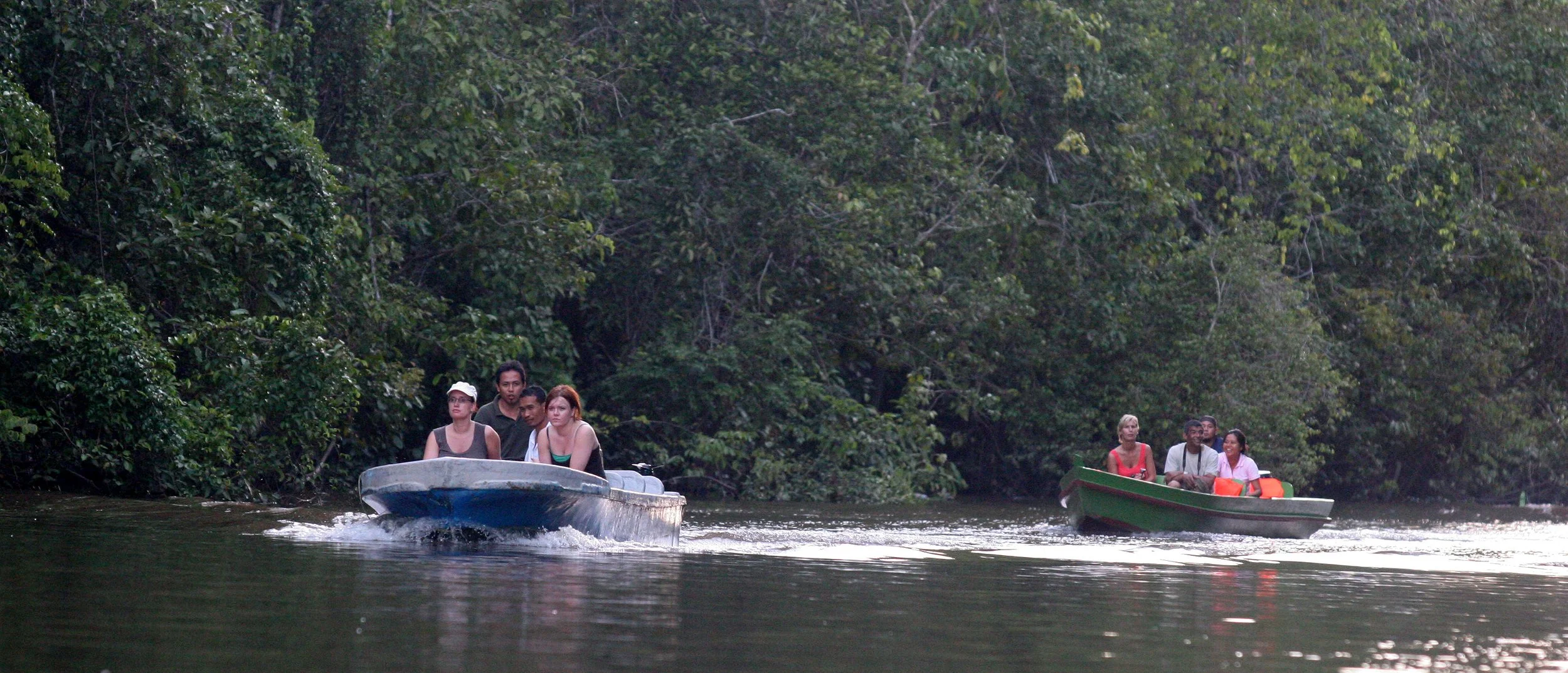 KINABATANGAN RIVER BORNEO.JPG