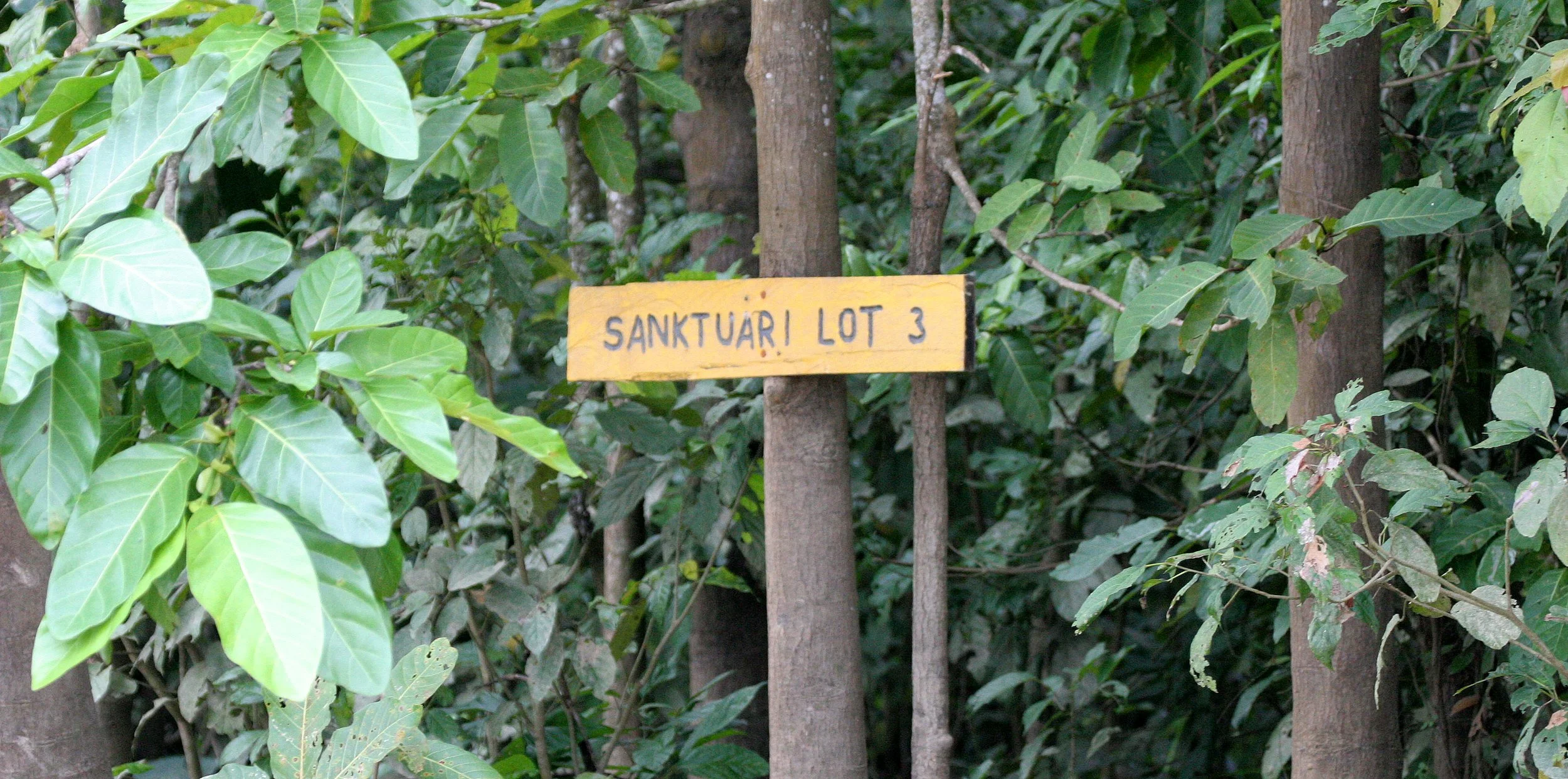 KINABATANGAN RIVER BORNEO - WILDLIFE SANCTUARY SIGN.JPG