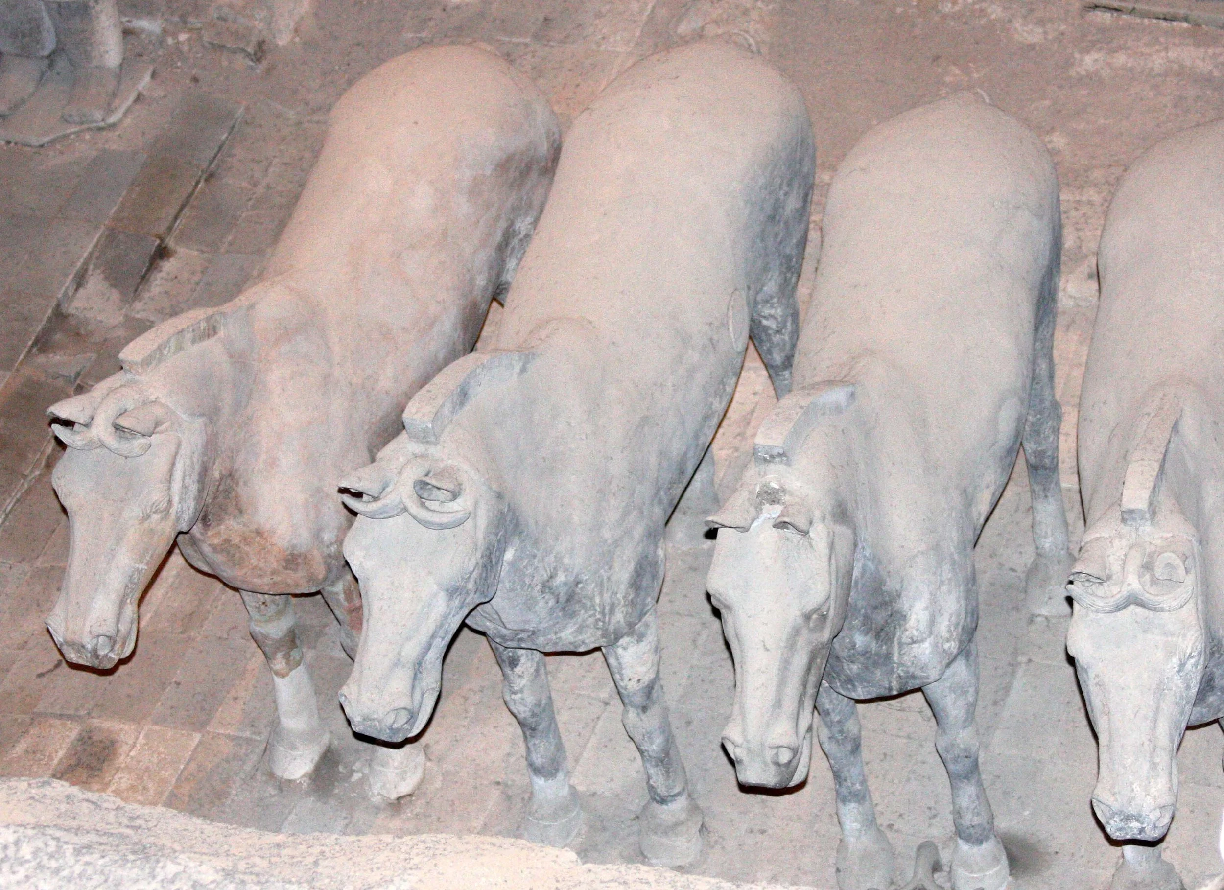 XIAN - TERRA COTTA WARRIORS - MARCH 2011 (87).JPG