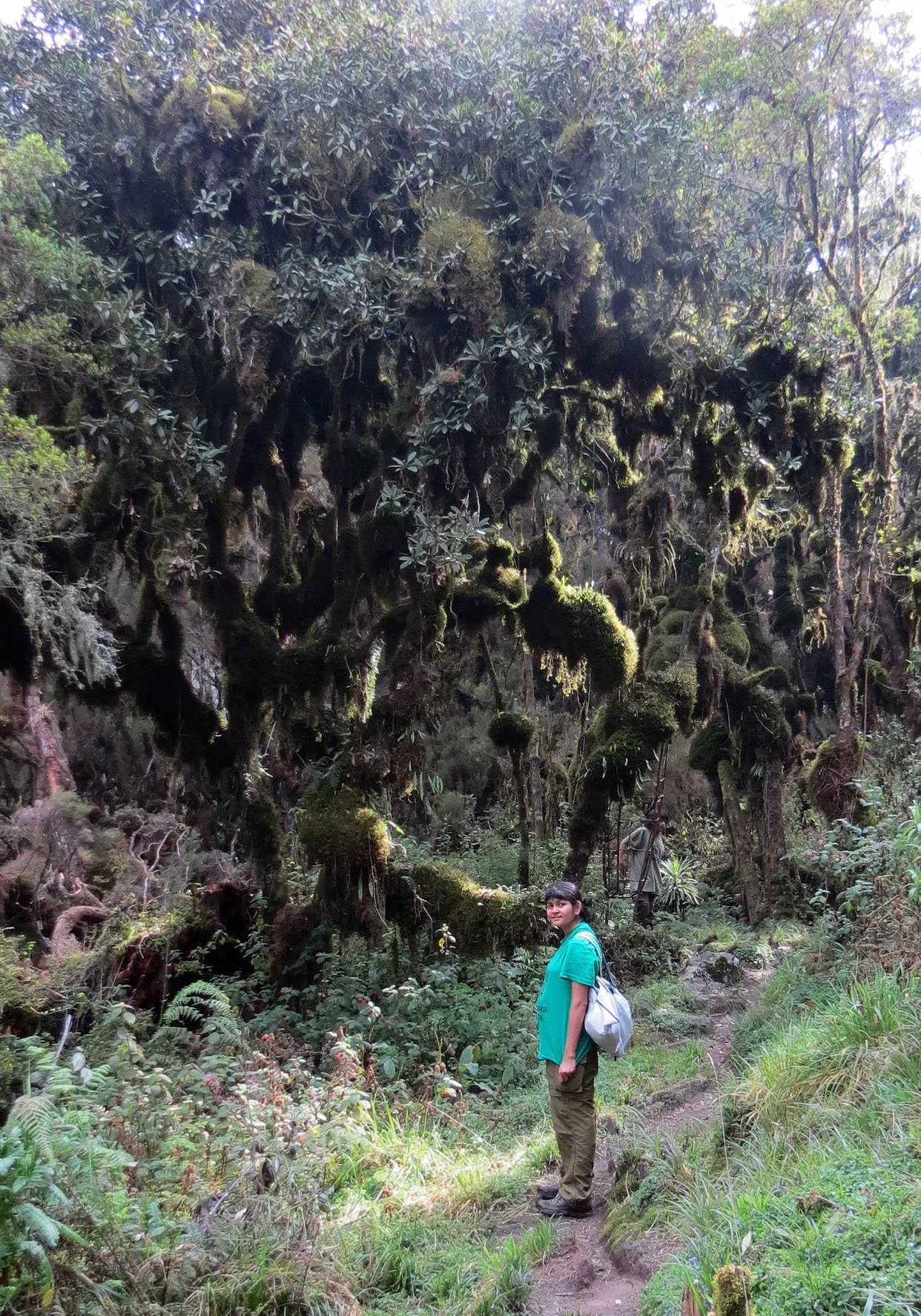 RWENZORI NATIONAL PARK UGANDA (147).JPG