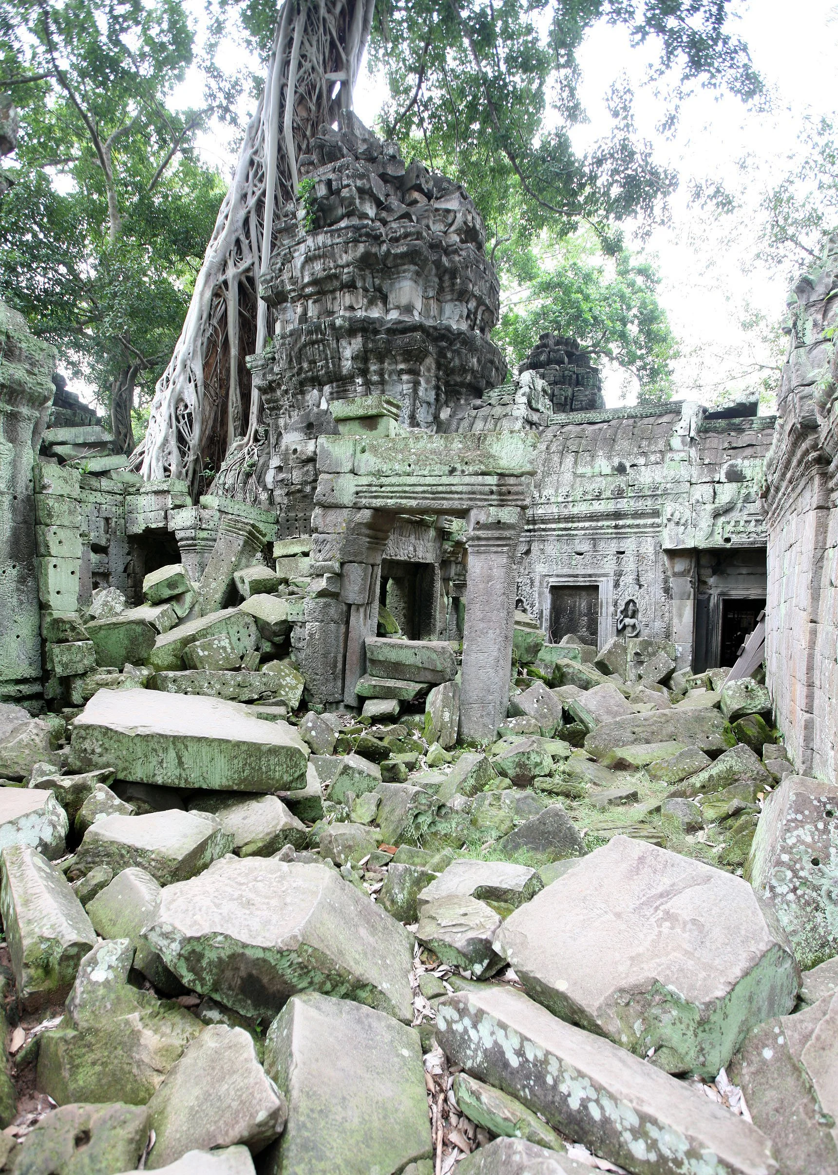 TA PROHM TEMPLE CAMBODIA - JULY 2010 (33).JPG