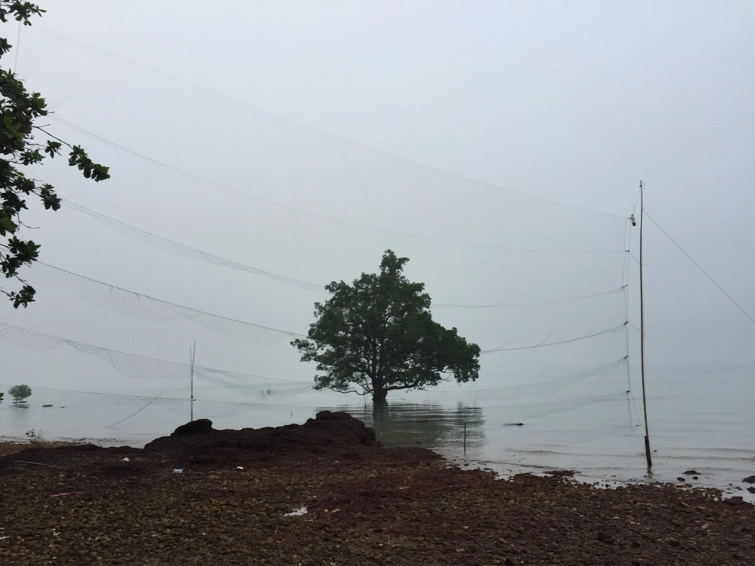 2015 LANTA - BAT POACHING 2015 (9).JPG