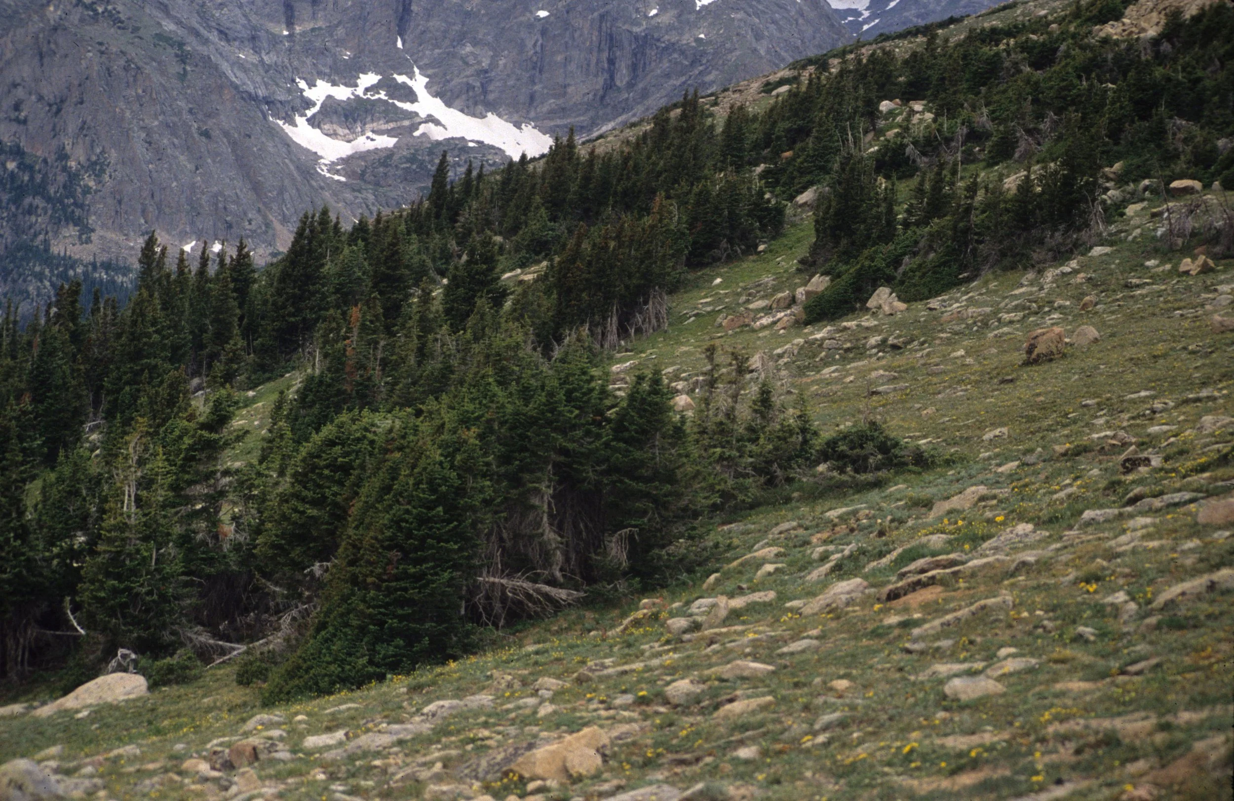 COLORADO - ROCKIES NATIONAL PARK  - VIEW OF ROCKIES B.jpg